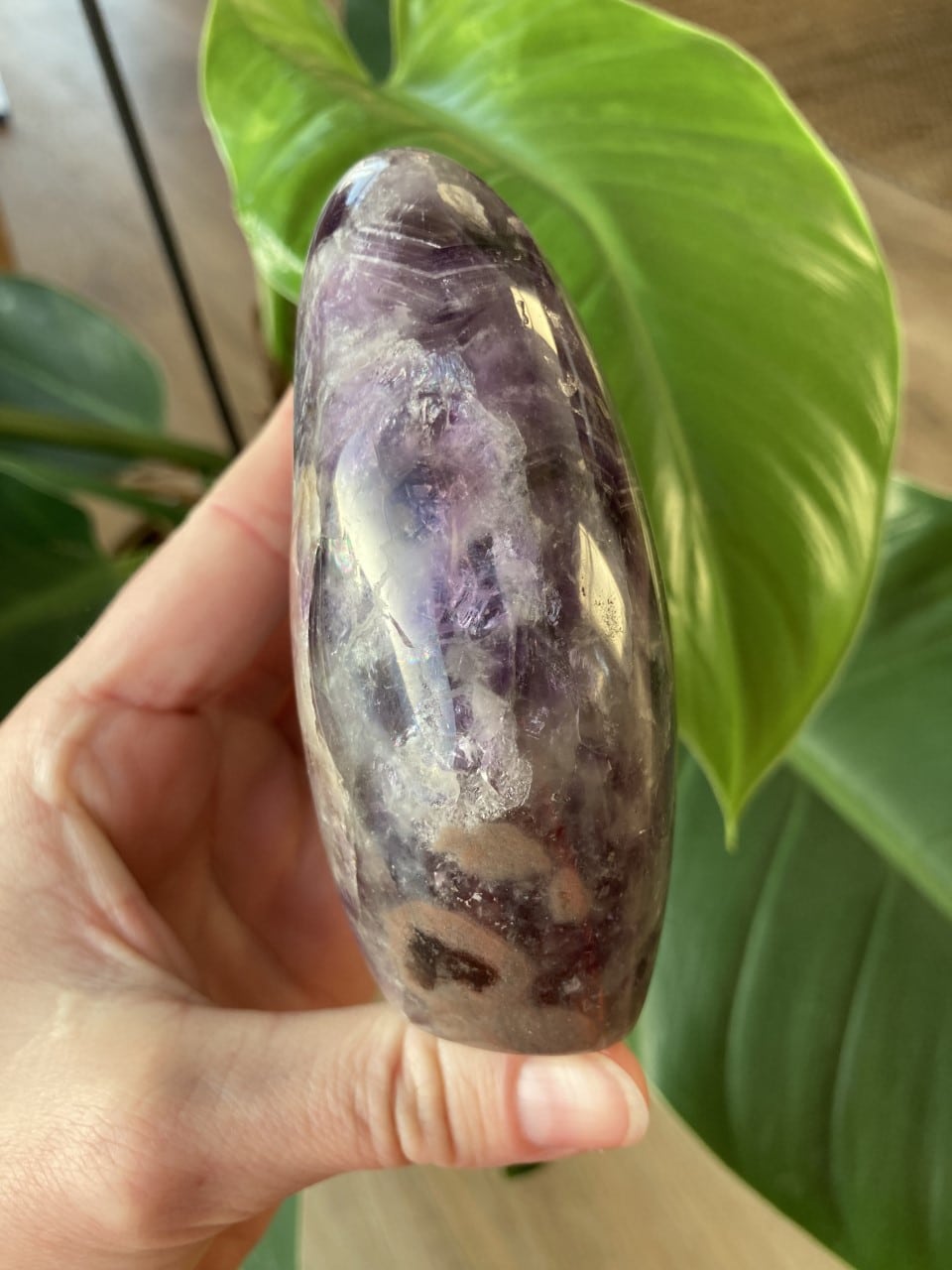Hånd holder en glat, poleret, fritformet ametyst foran store grønne blade.