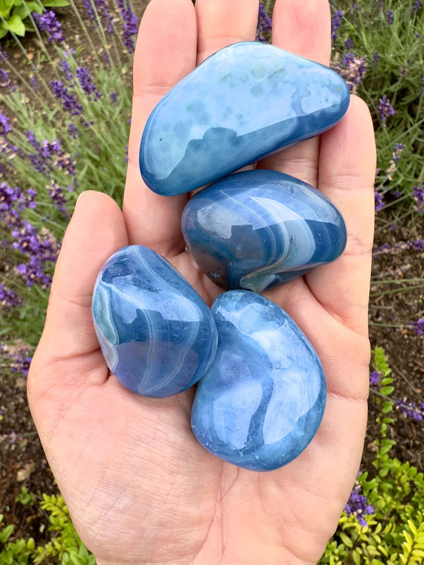 En hånd holder fire polerede blå agatsten over en baggrund af lilla blomster.