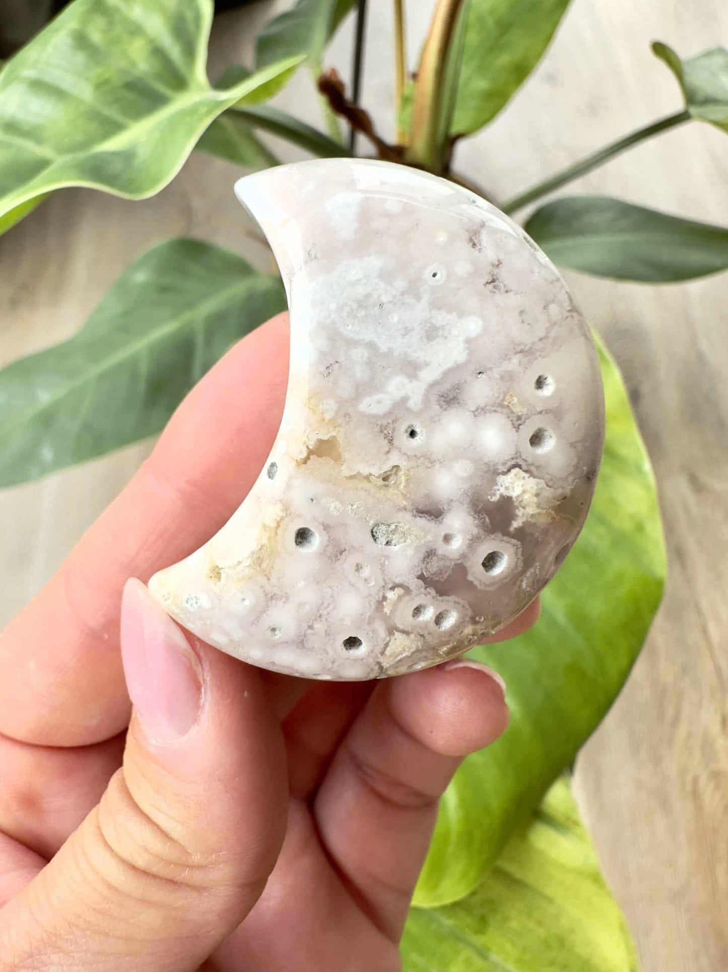 Hånd holder en Blomster Agat måneformet sten foran grønne blade.