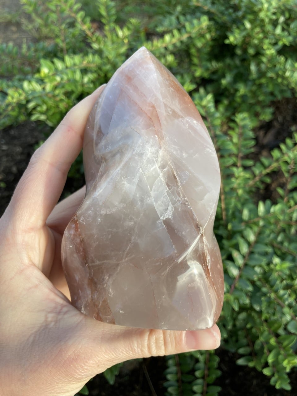 En hånd holder en poleret hæmatit kvarts flamme foran grønne planter.