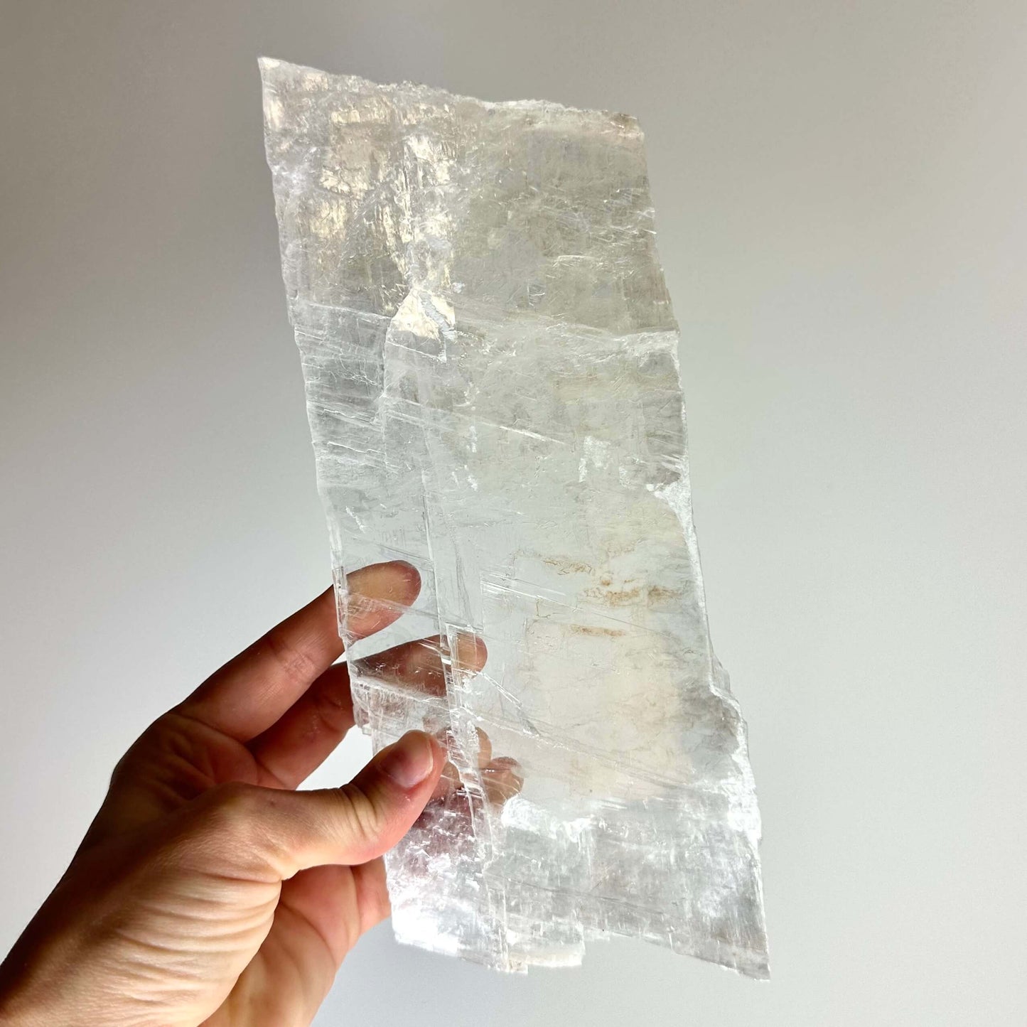 Hånd holder en mexicansk selenit plade rå, gennemsigtig og rektangulær i lyset.
