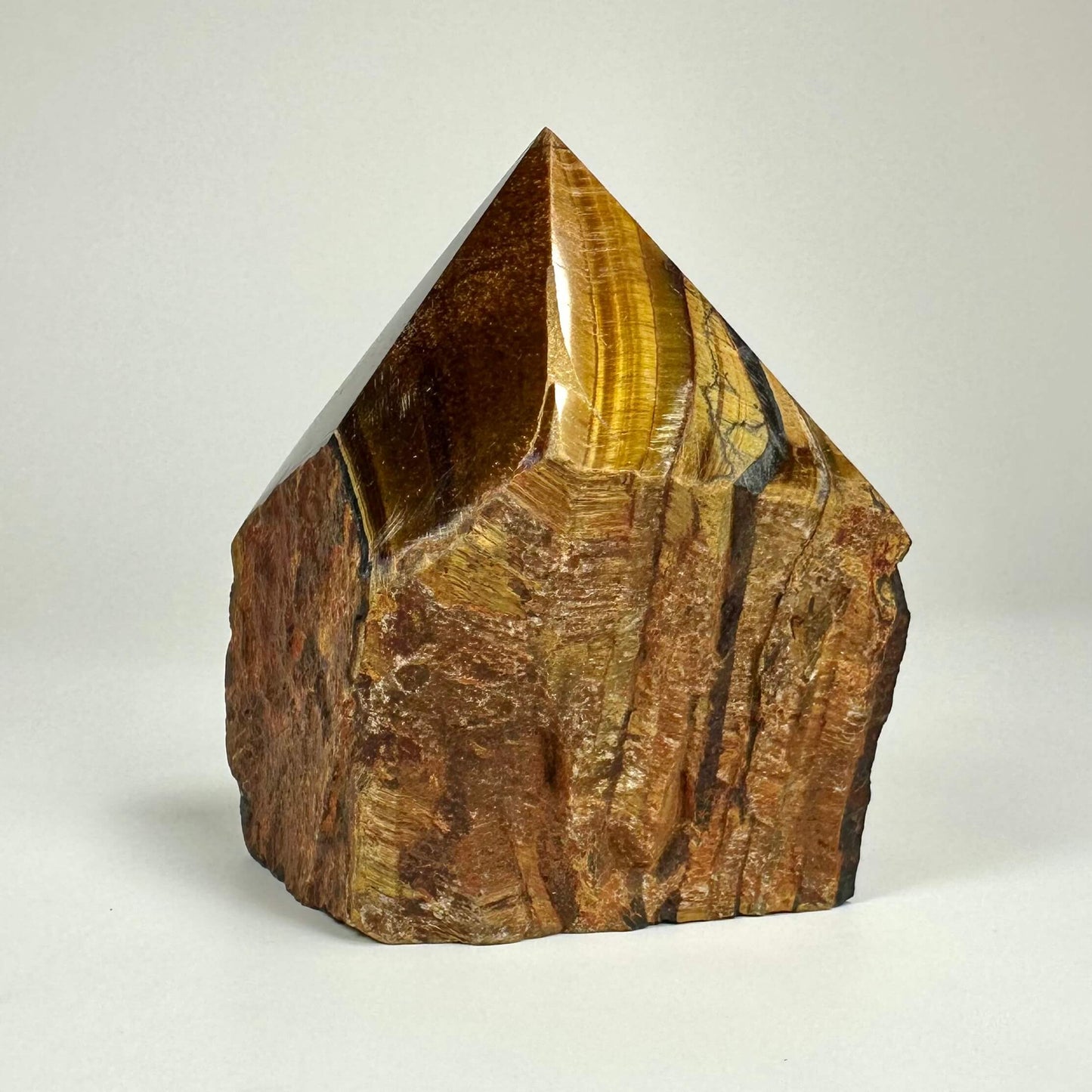 Tigerøje spids med glat overflade og brune, gyldne nuancer på en lys baggrund.