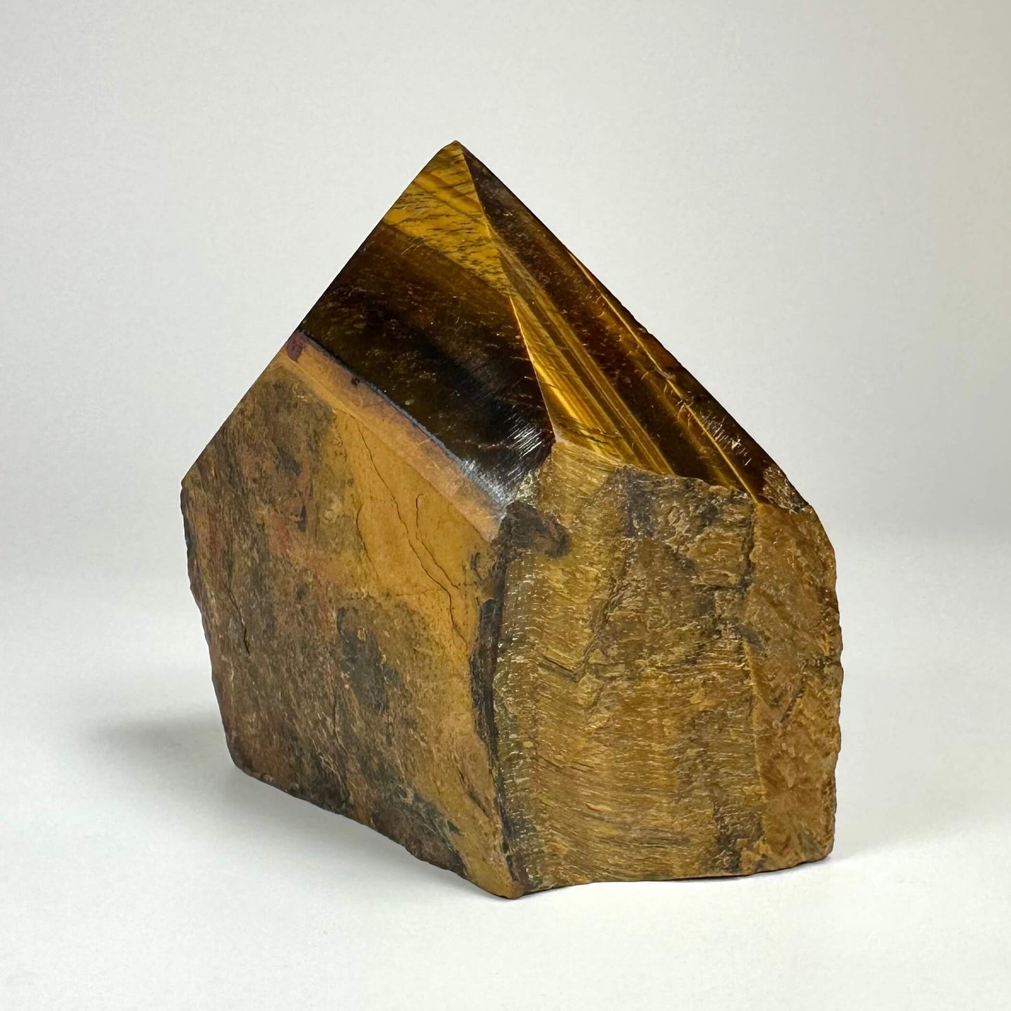 Tigerøje spids står på en lys baggrund, viser gyldenbrun farve og striber.