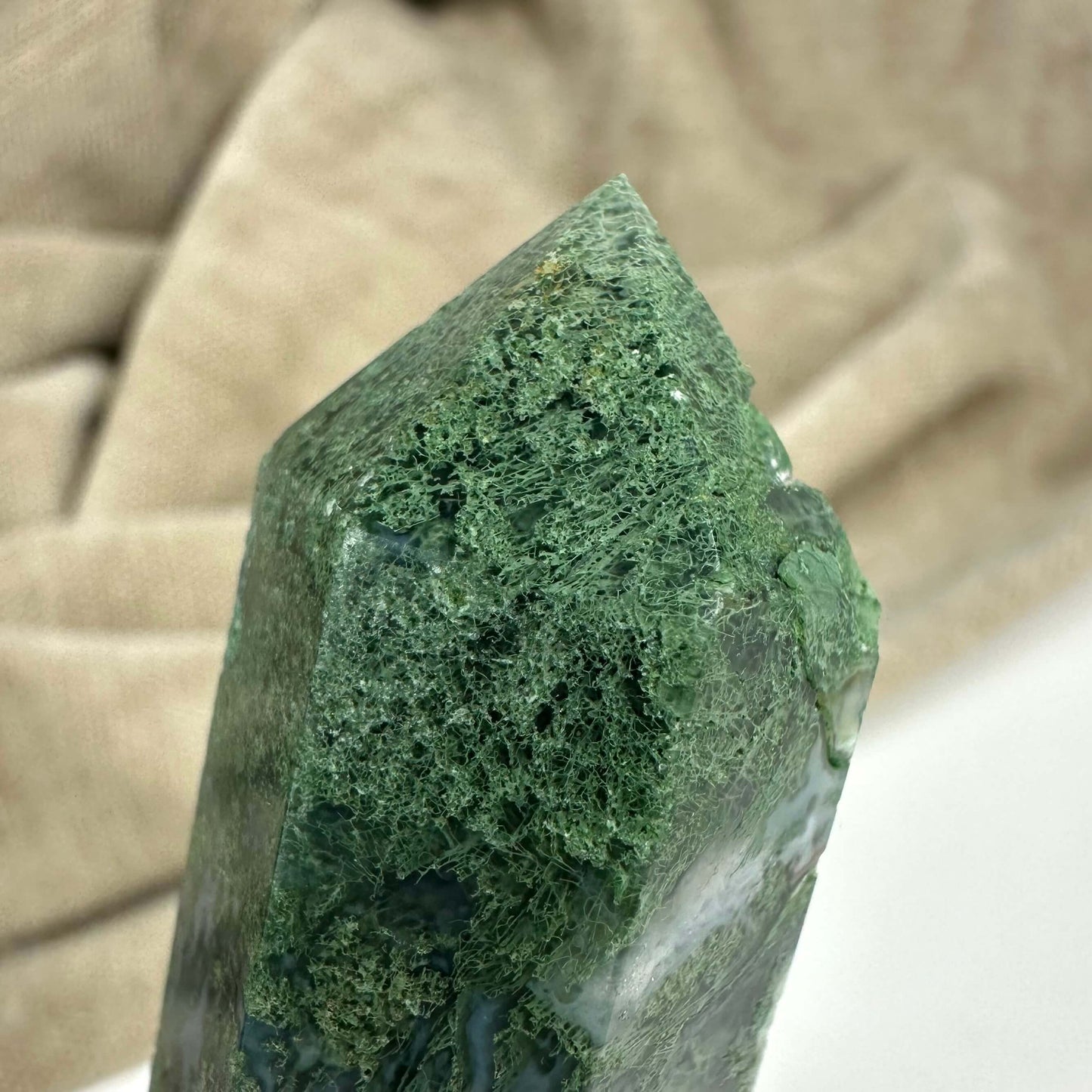 Mos Agat Dobbelttermineret Spids på lys baggrund, viser grønne nuancer og tekstur.