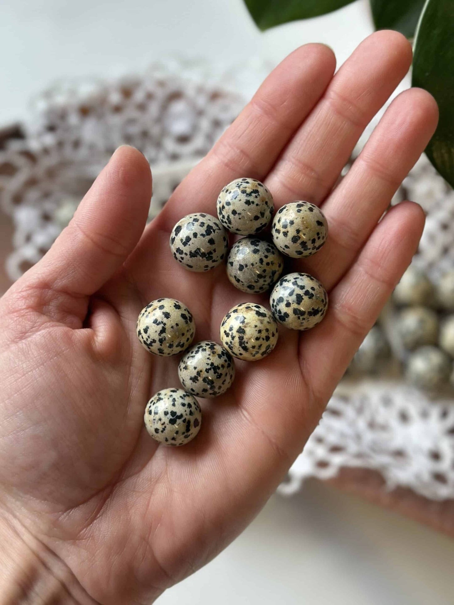 Hånden holder Dalmatiner mini kugler med sortprikket mønster på beige baggrund.