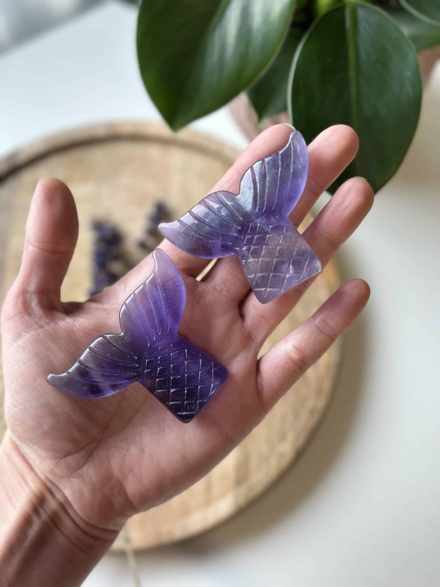 Hånd holder to lilla fluorit hale-formede stykker foran en grøn plante.