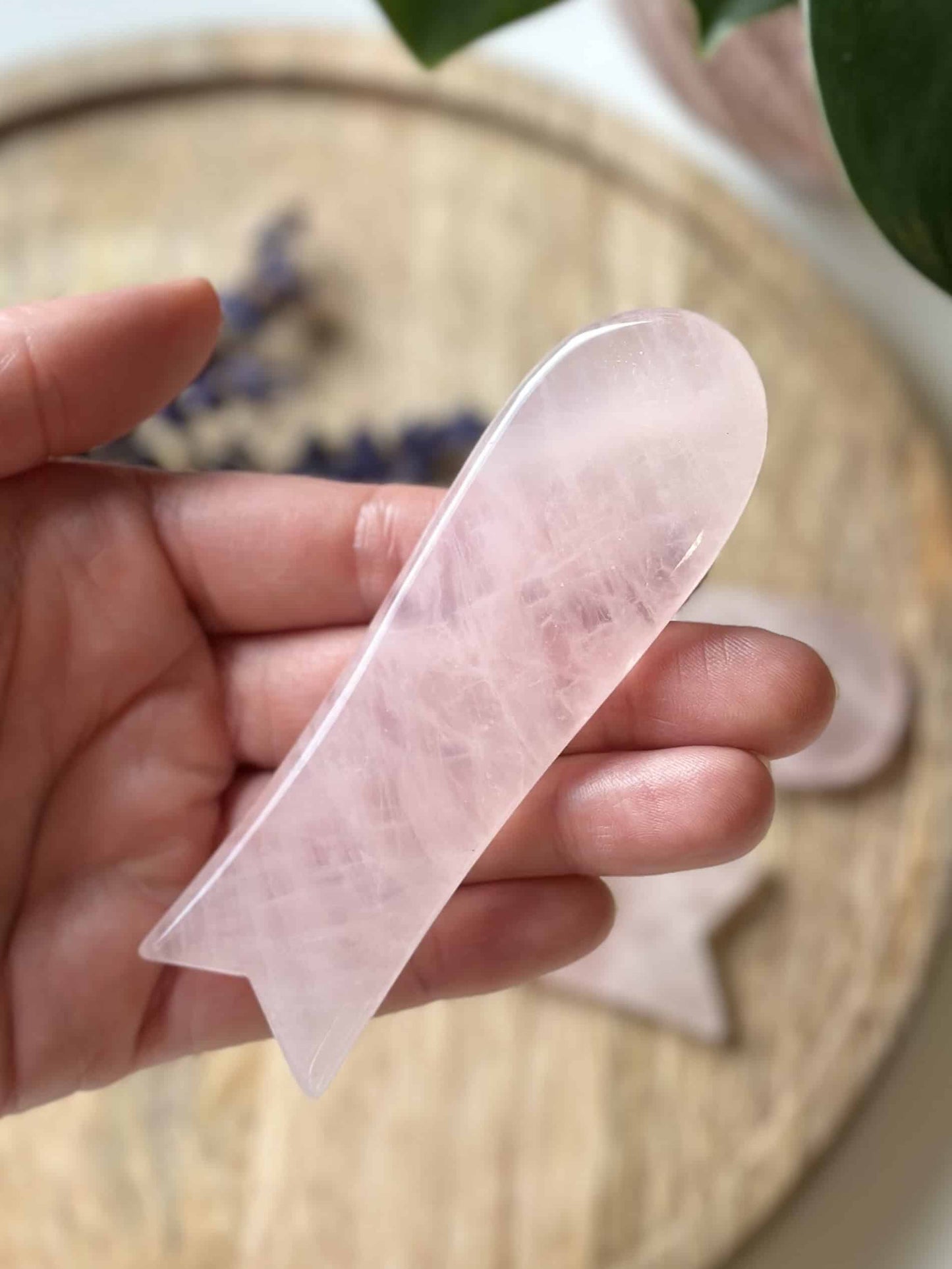 Hånd holder en Gua Sha i rosenkvarts på en træbakgrund, med et sløret blad i baggrunden.