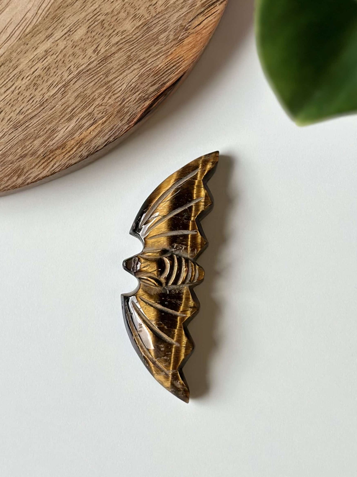 Tigerøje flagermus ornament på en lys overflade ved siden af en rund træplade og grøn plante.