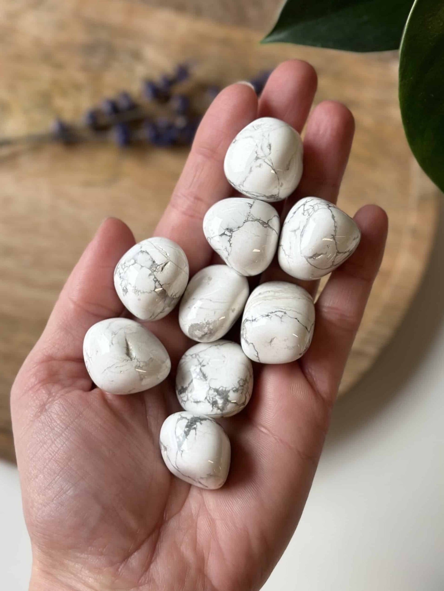 Hånd holder flere Hvid howlit lommesten med lilla lavendel baggrund.