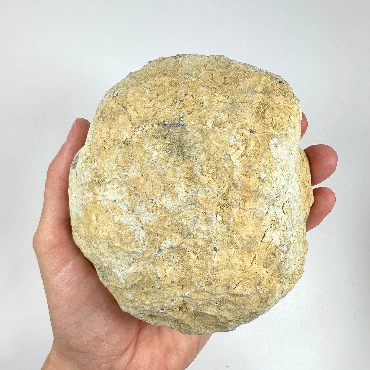 En hånd holder en uåbnet kvarts geode med en rå, ujævn overflade.