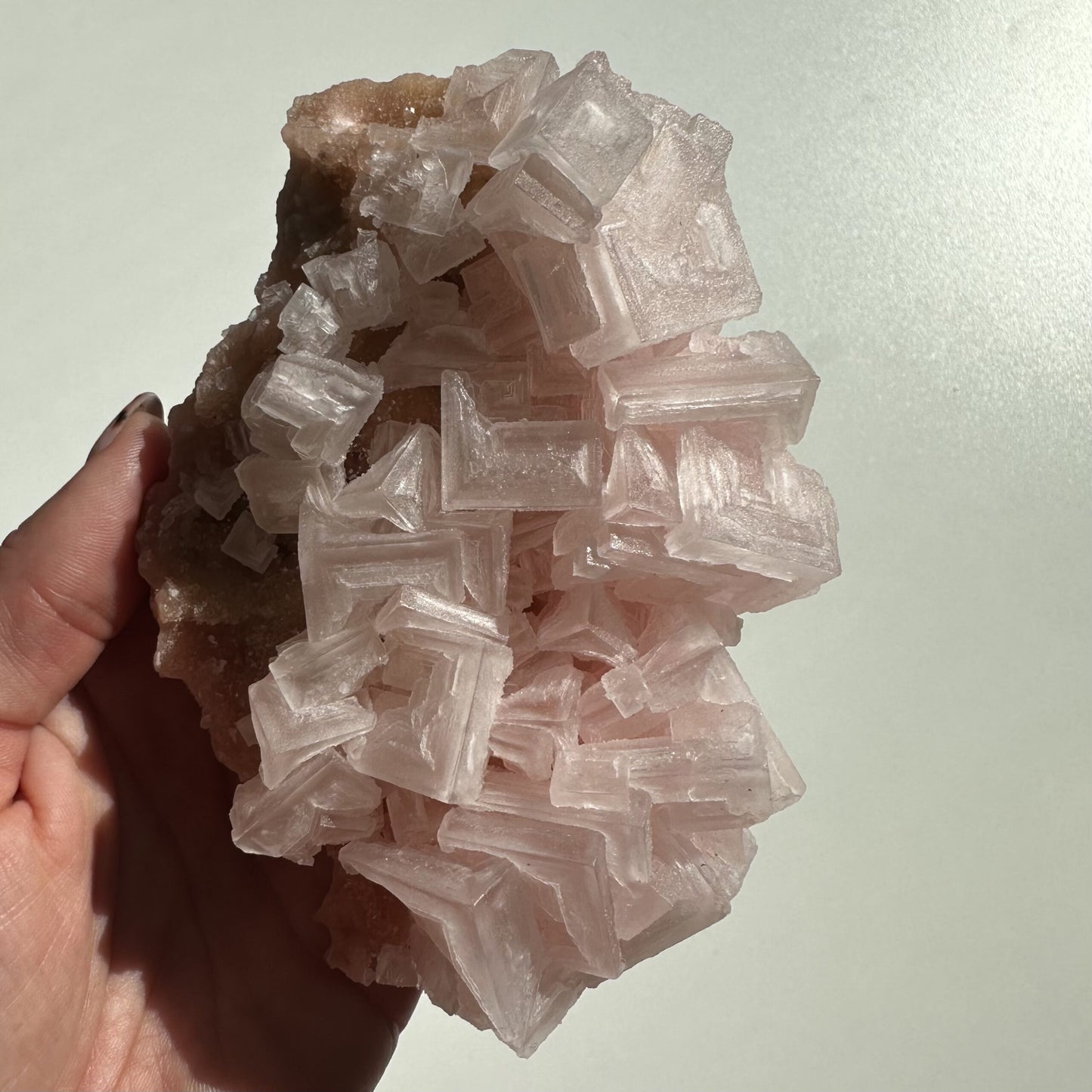 Hånd holder en Pink Halit krystal med lyserøde, kubiske formationer mod en lys baggrund.