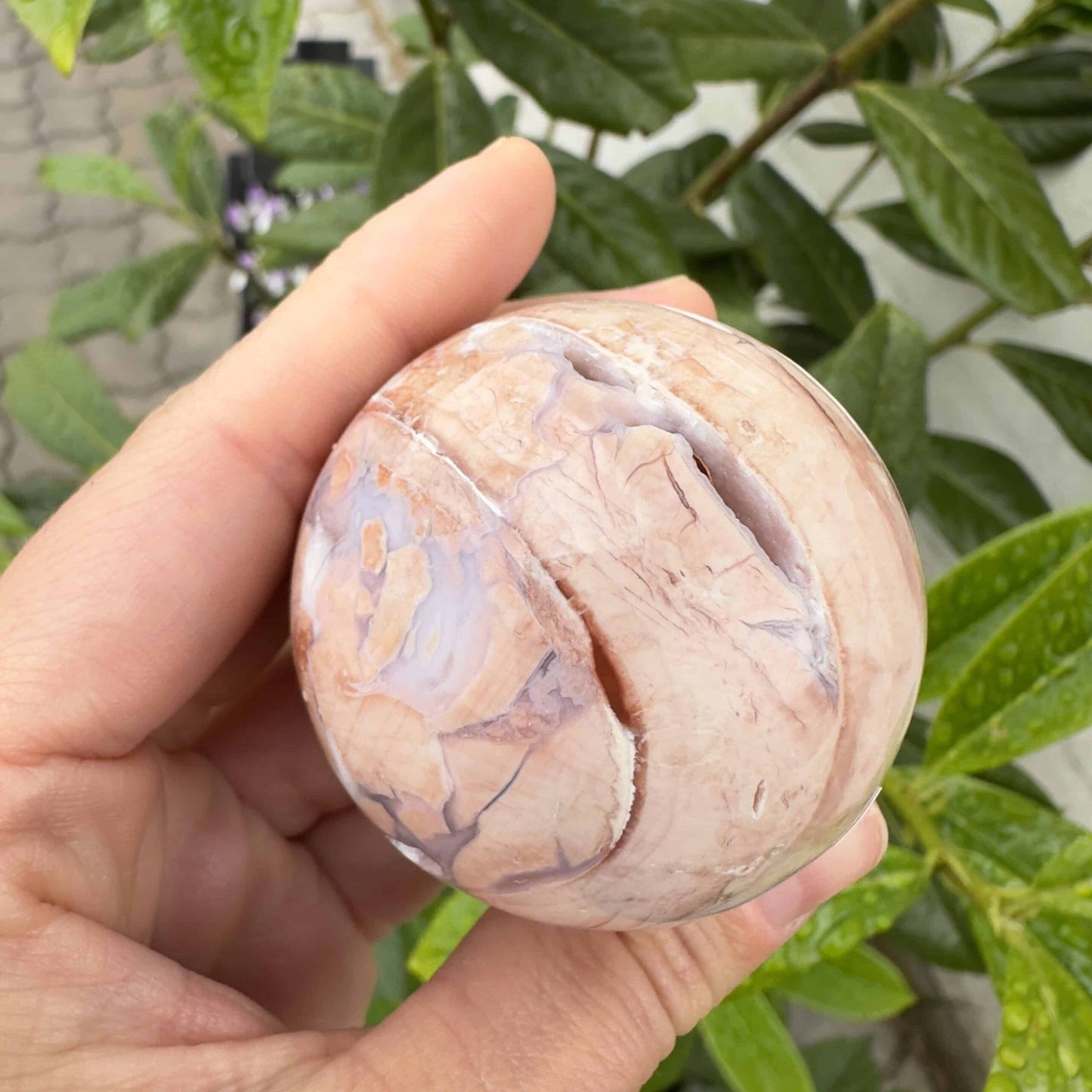 Hånd holder lyserød agat kugle nr 2 foran grønne blade i baggrunden.