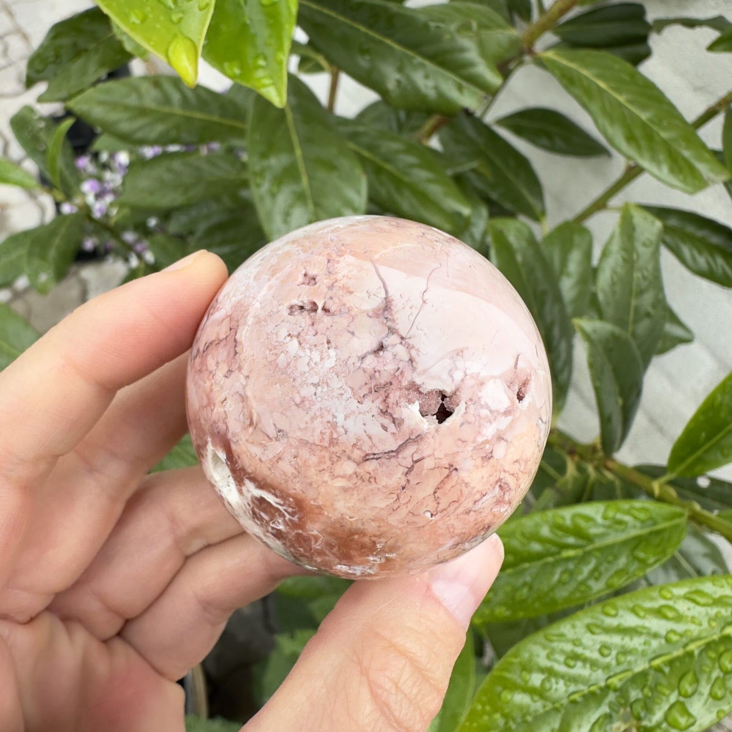 Hånd holder en Lyserød Agat kugle nr 3 foran grønne blade som baggrund.