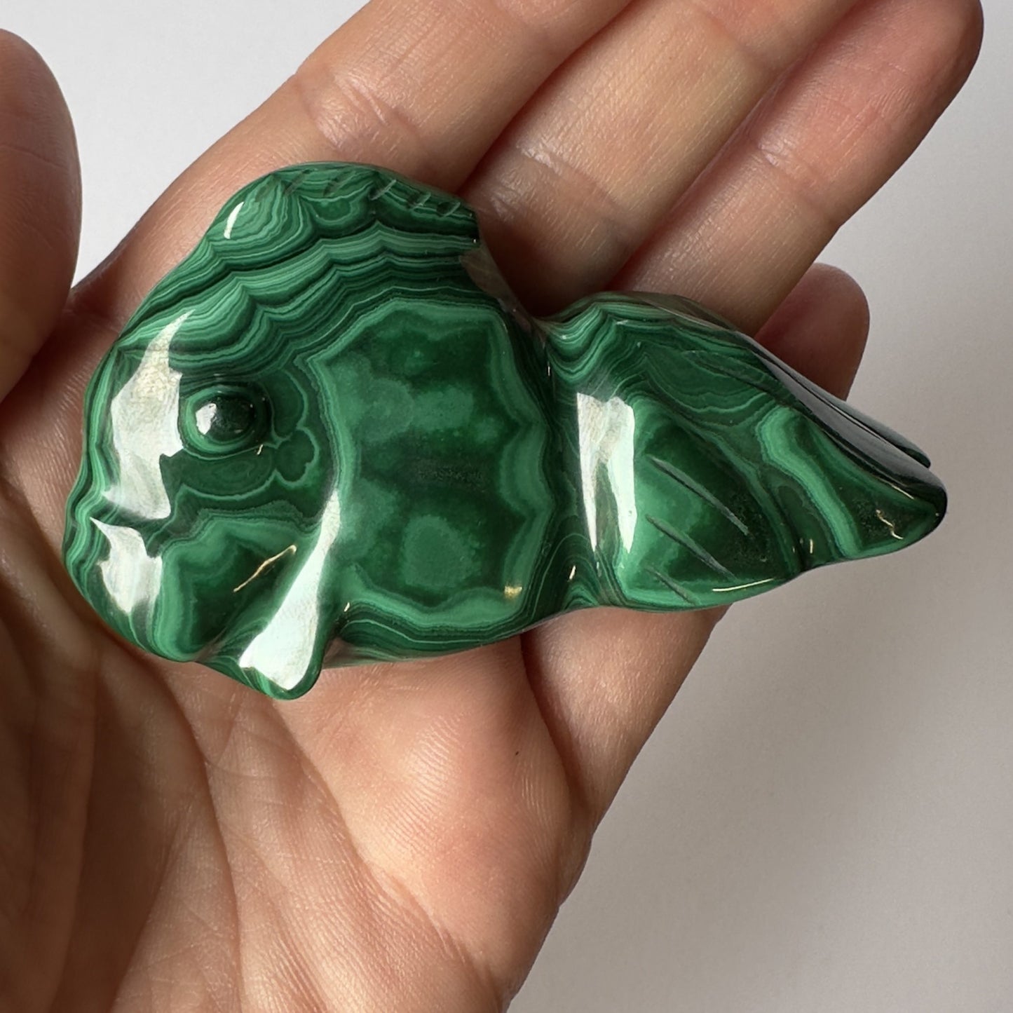 En hånd holder en grøn skulptur af en Malakit slørhale med karakteristiske mønstre.