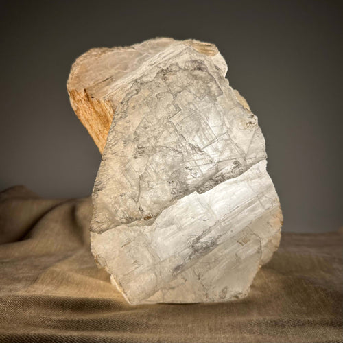En stor, lys sten ligger på en brun baggrund, med tydelige overflademønstre og teksturer.