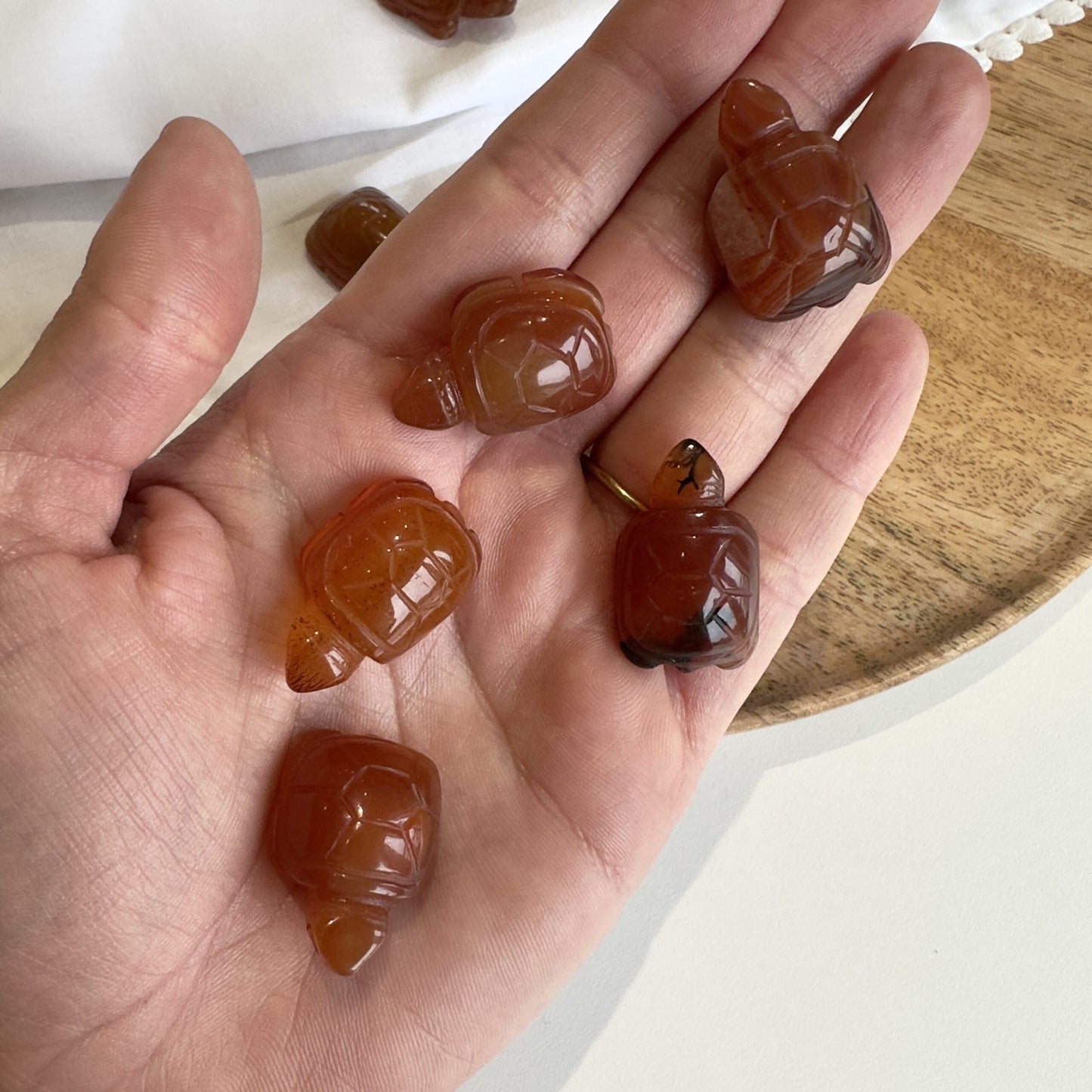 Hånd der holder flere brune karneol mini skildpadder på en træbakke.