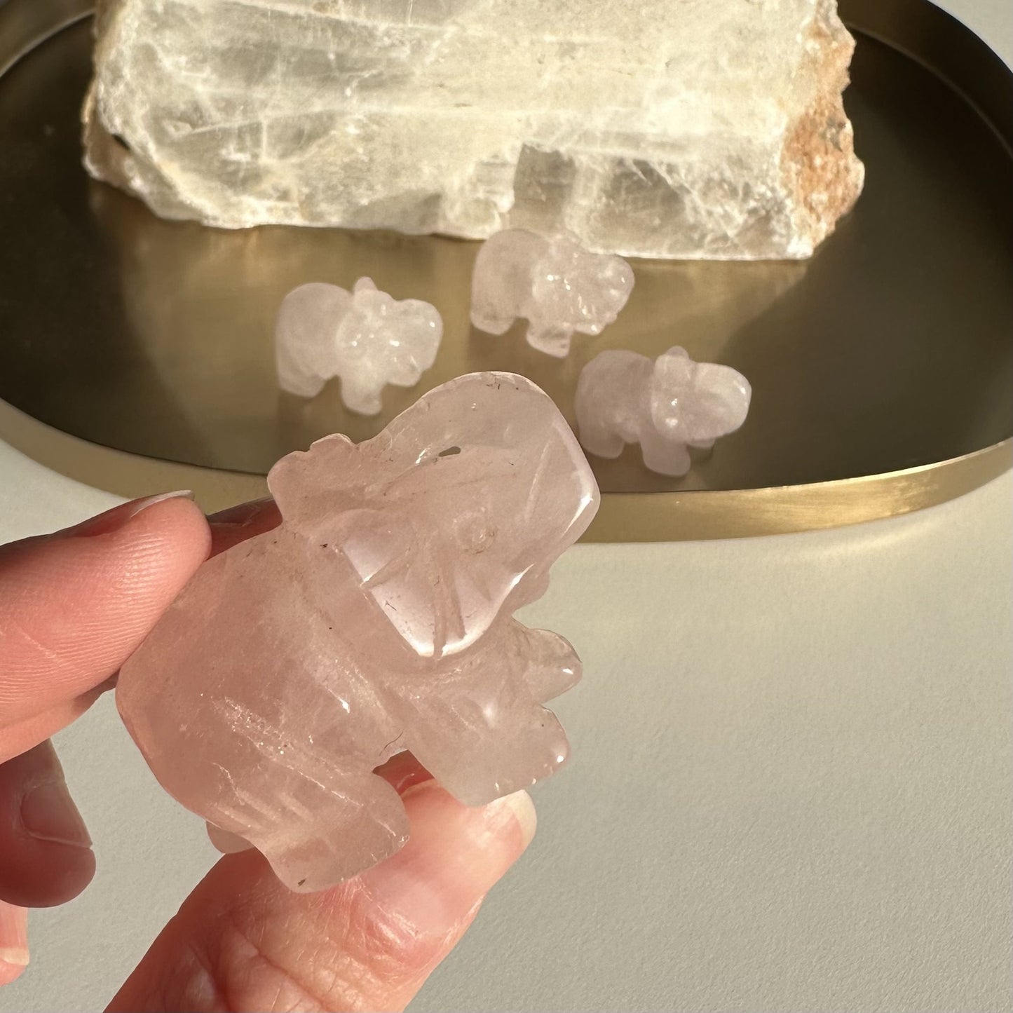 Hånd, der holder en Rosenkvarts elefant med flere små elefanter og sten i baggrunden på en bakke.
