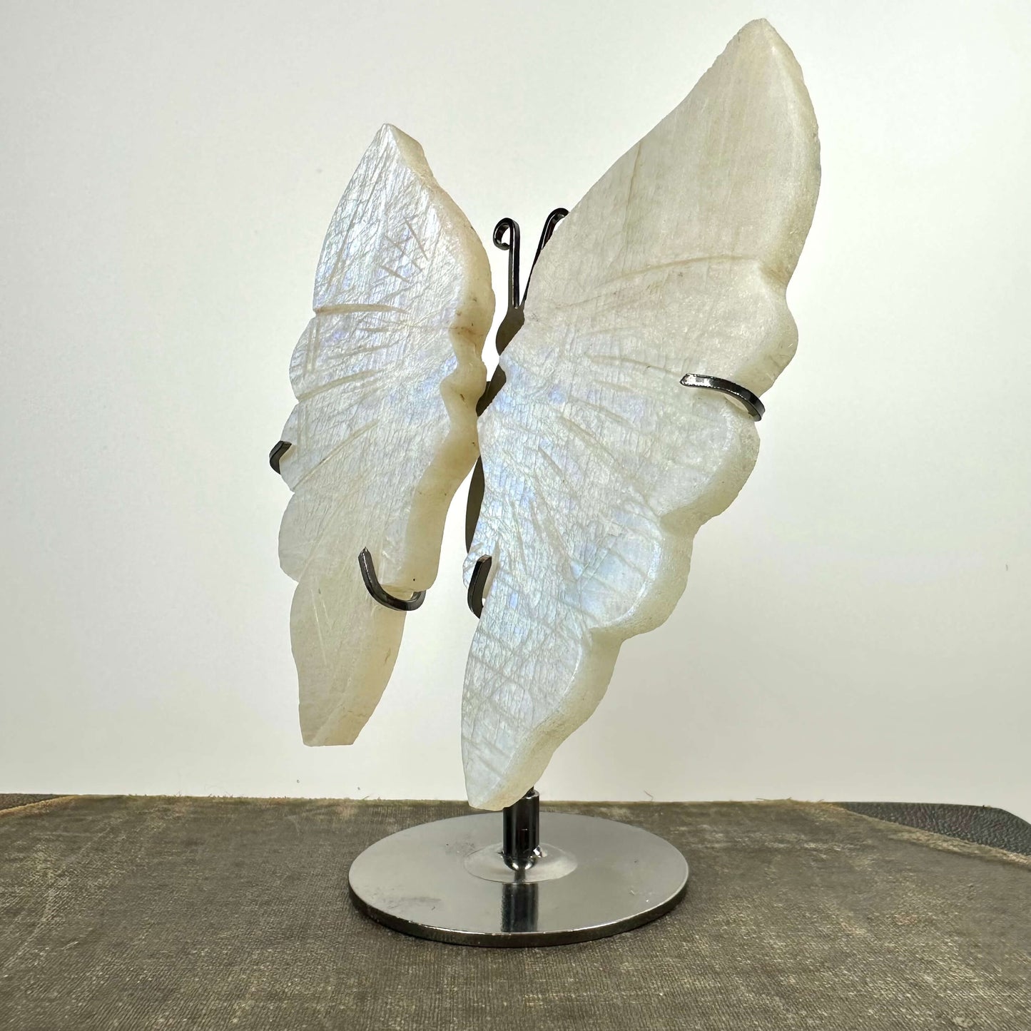 Regnbue Månesten sommerfugl