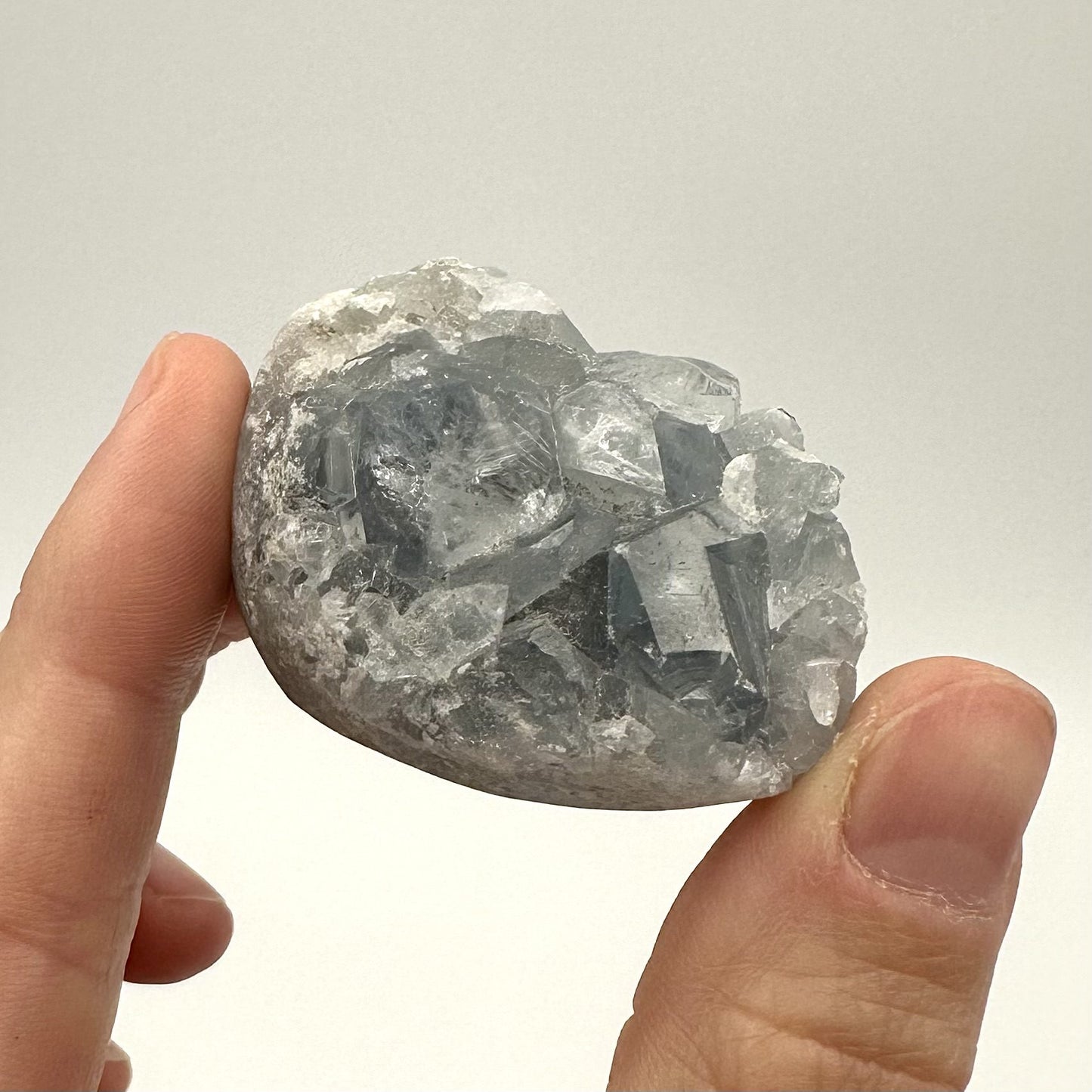 Hånd holder en Celestit klynge med lyseblå krystaller mod neutral baggrund.