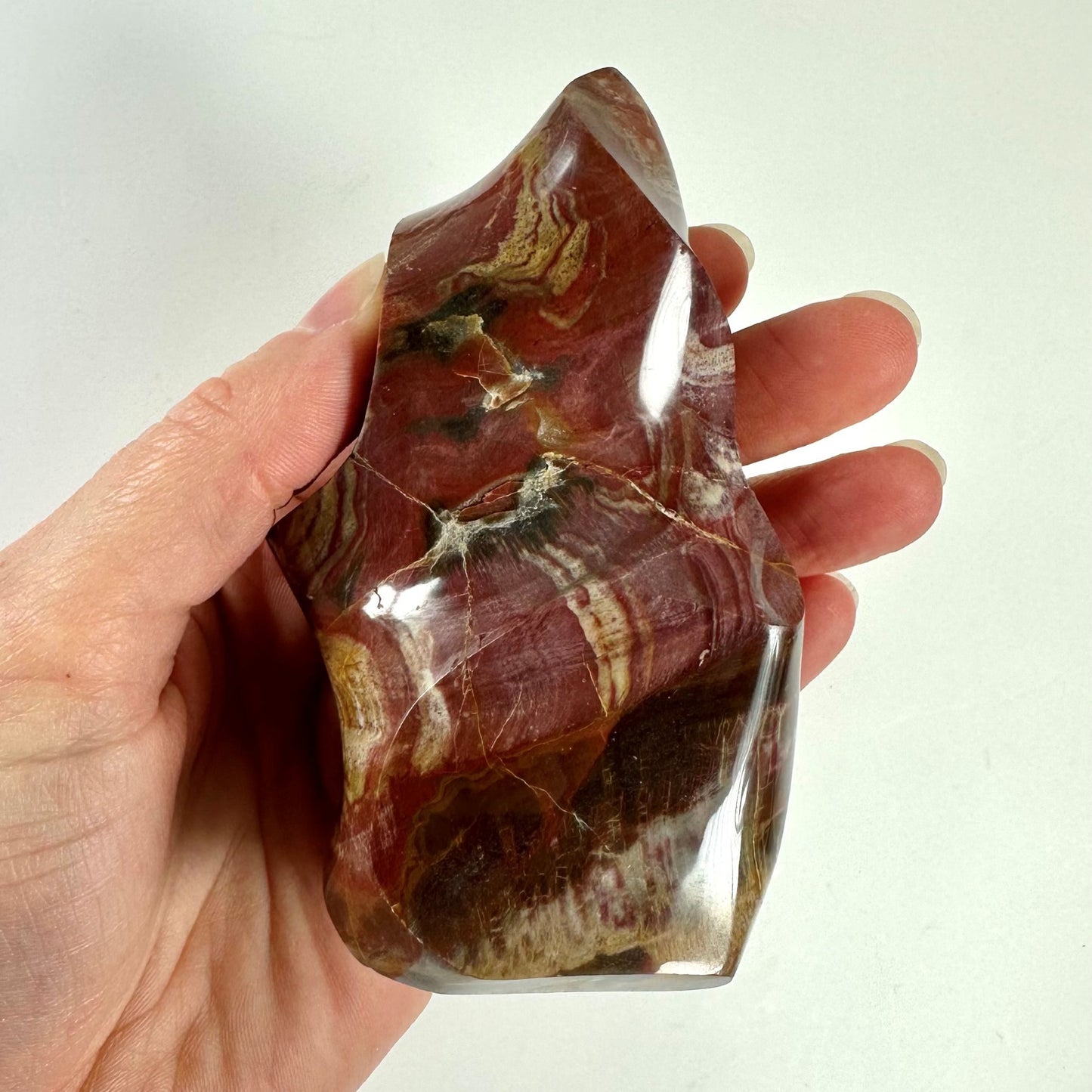 En hånd holder et poleret, farverigt forstenet træ flamme med rødbrune nuancer og åremønster.