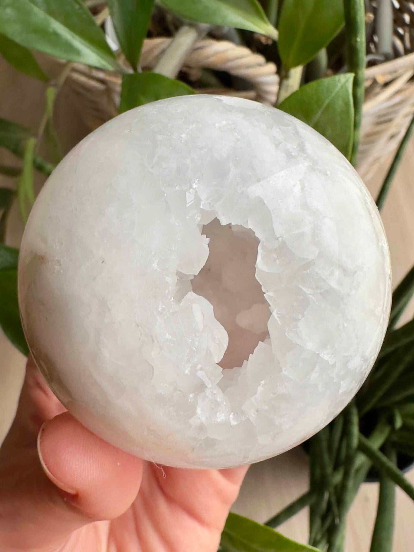 Druzy Kvarts kugle nr1 med krystalliseret overflade, holdt af en hånd, med grønne blade i baggrunden.