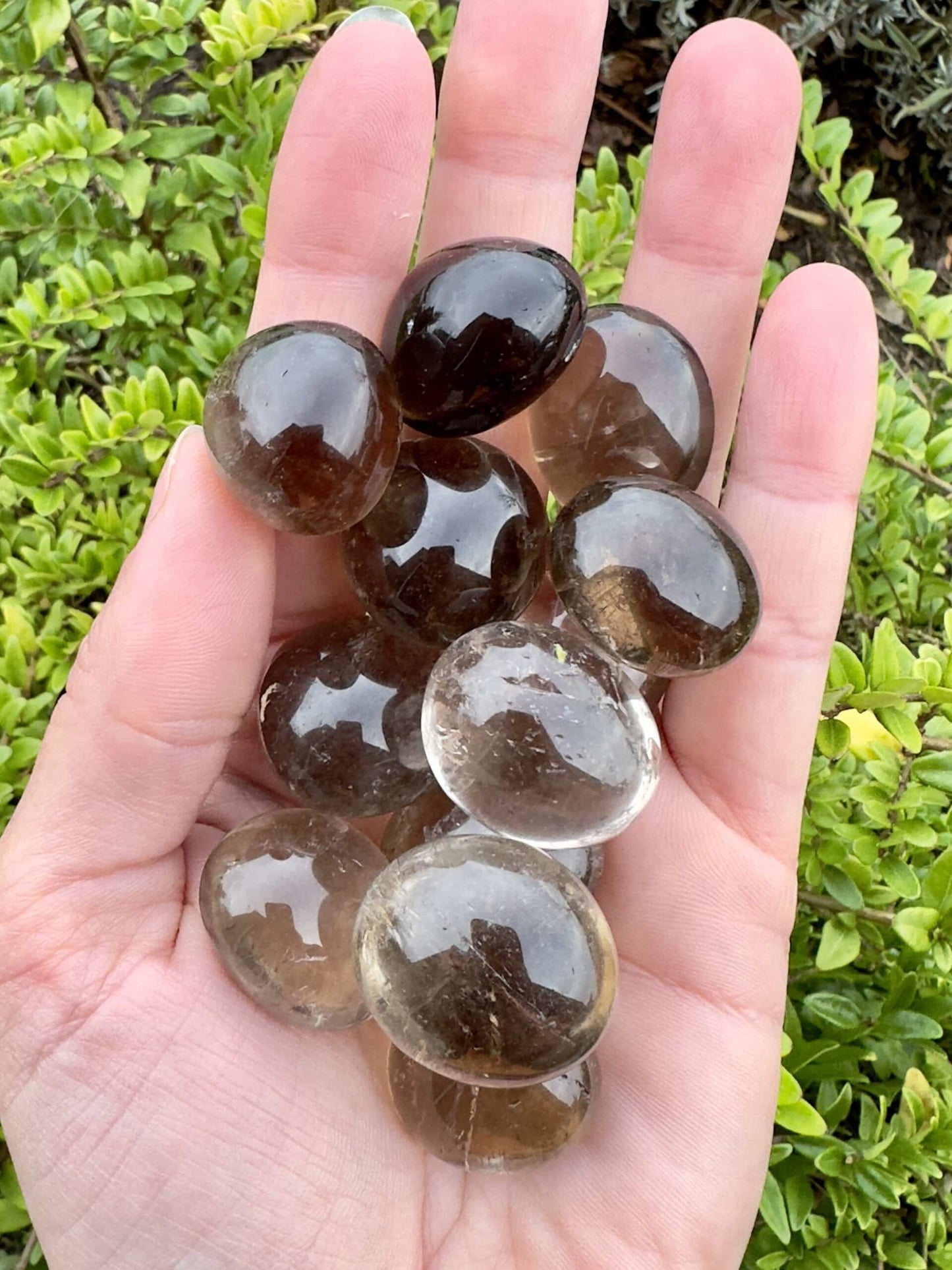 Hånd, der holder Røgkvarts lommesten foran grønne planter i baggrunden.