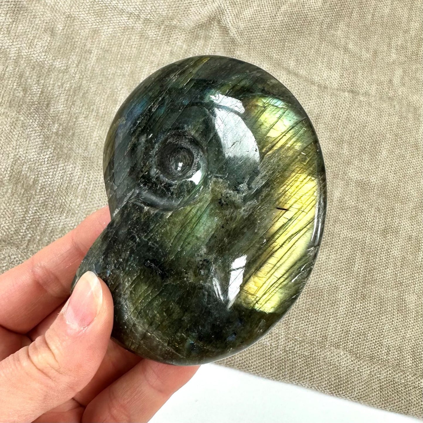 En hånd holder en labradorit ammonit med iriserende gulgrønne og blålige nuancer på en beige tekstilbaggrund.
