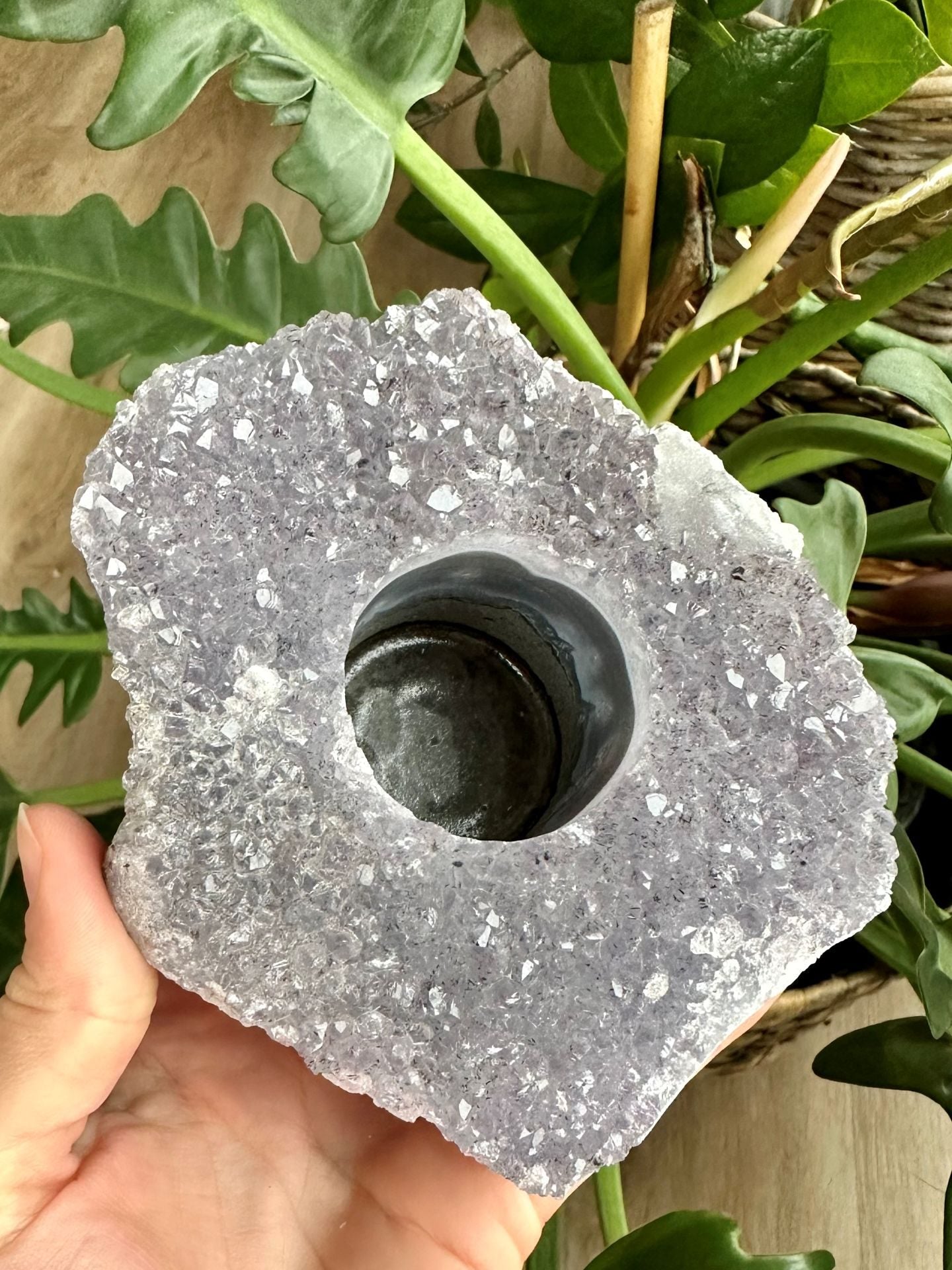 Ametyst fyrfadsstage nr. 8 i en hånd, omgivet af grønne planter.