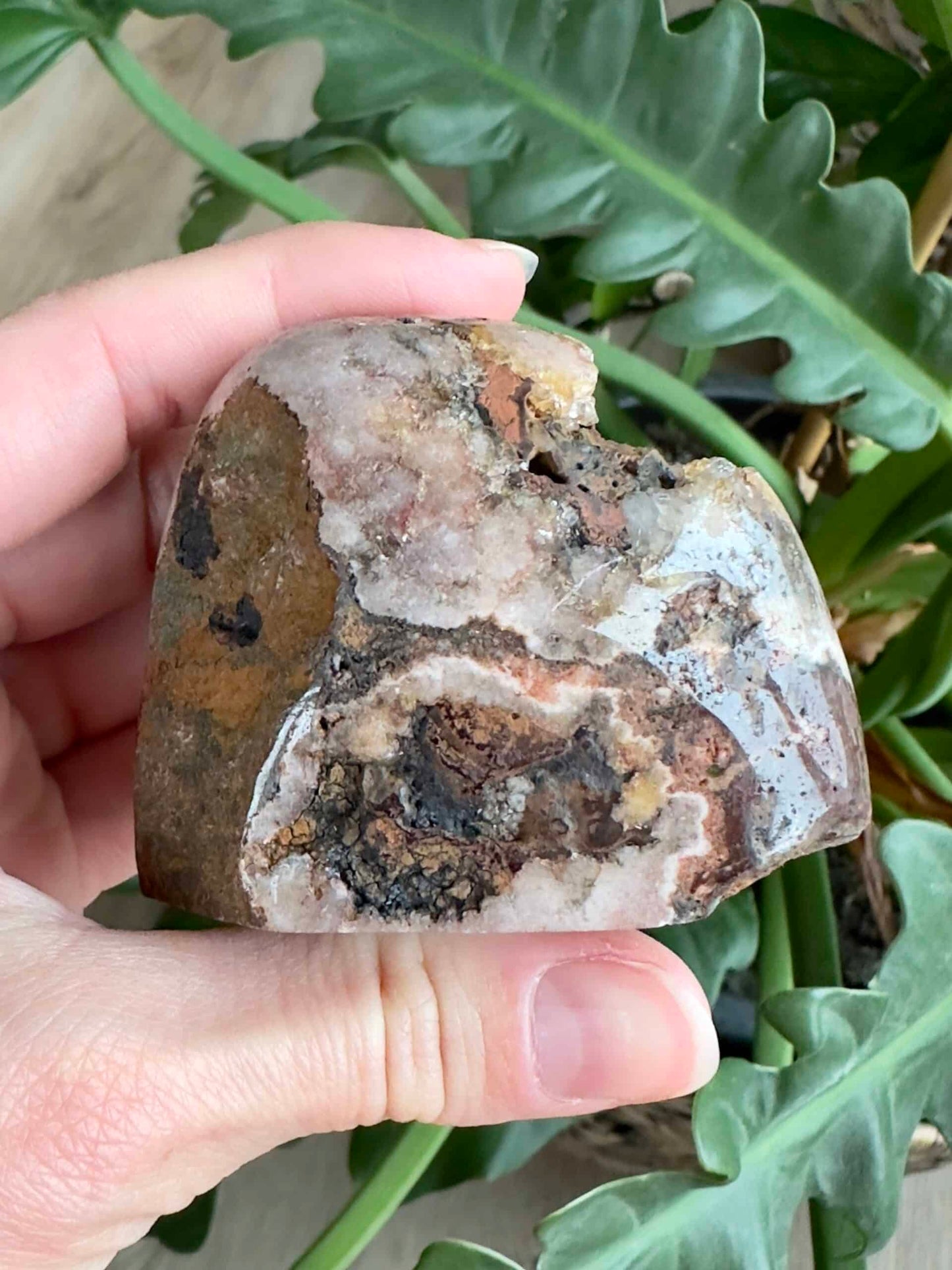 Hånd holder en ujævn pink ametyst med en plante i baggrunden.