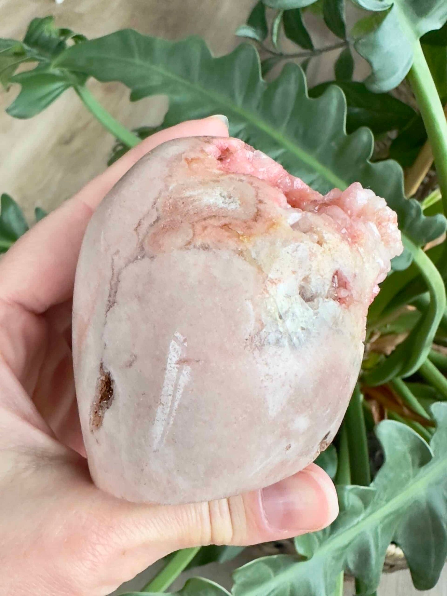 En hånd holder en pink ametyst foran grønne blade i baggrunden.