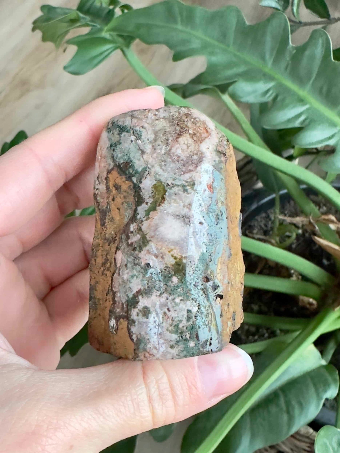 Hånd holder en pink ametyst fri form foran grønne planter.