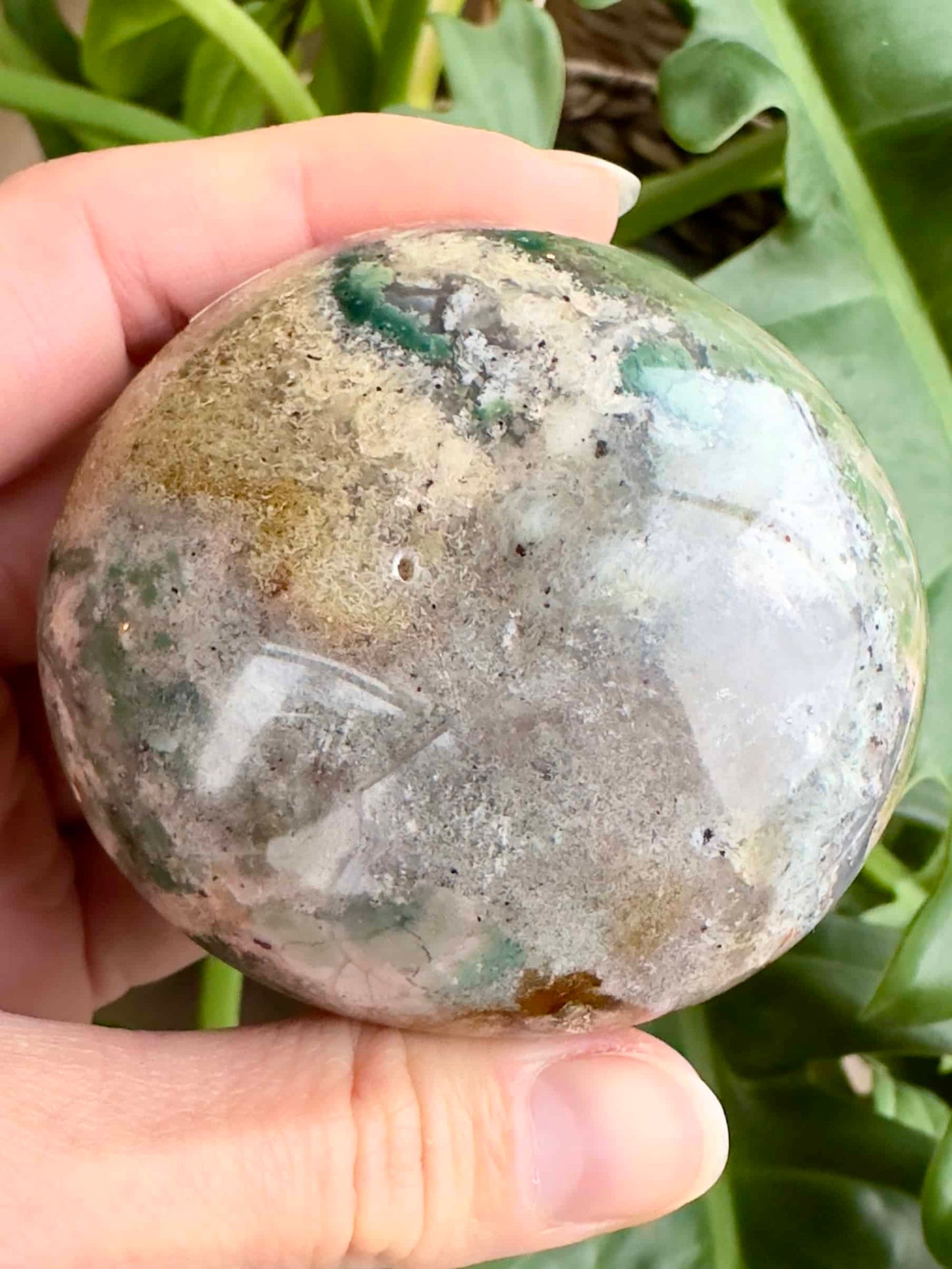 Hånd holder en Jaspis Hav håndsten foran grønne planter. Stenen har naturlige farver og mønstre.