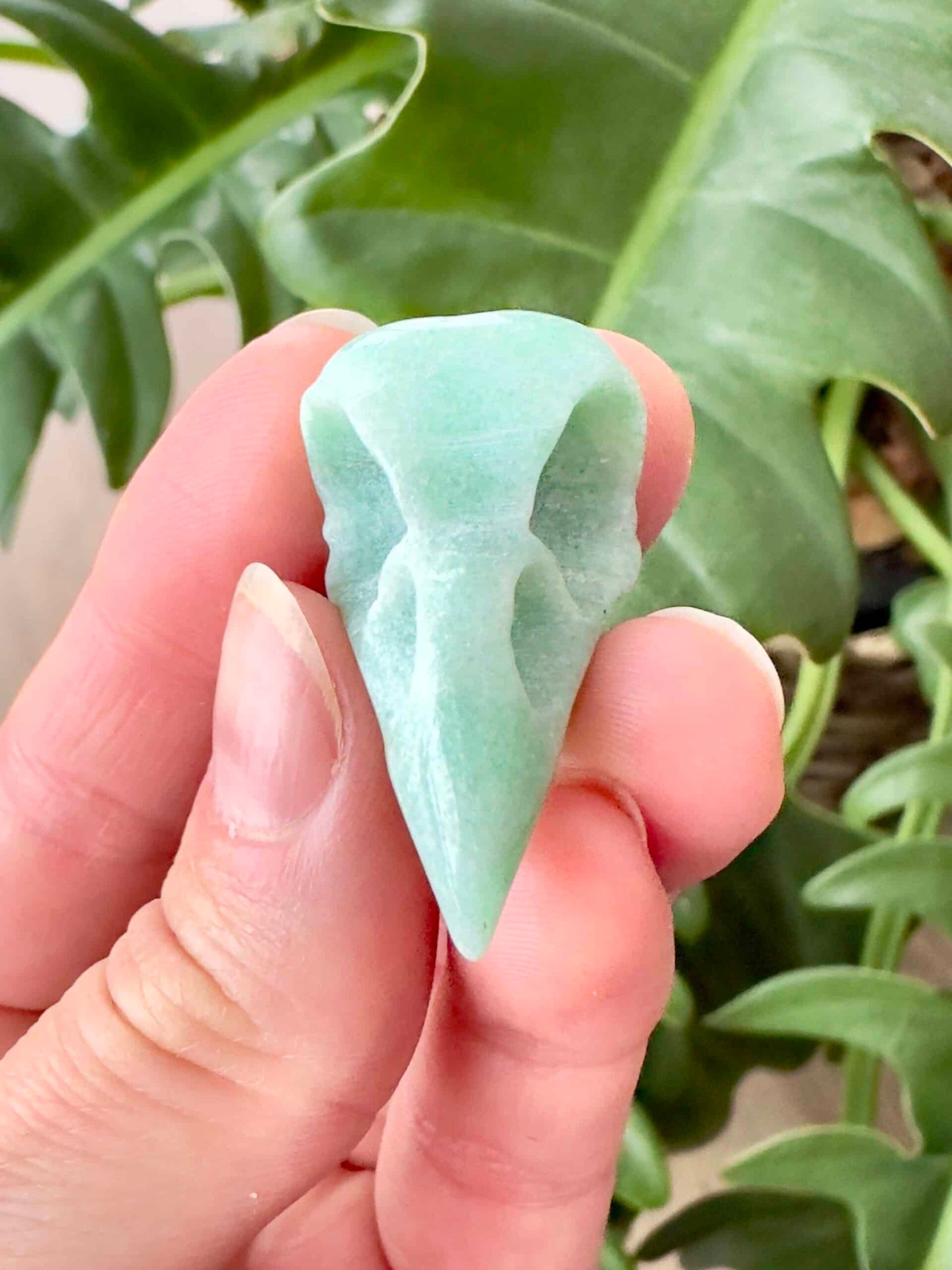 Hånd holder et lille Grøn Aventurin ravne kranie foran grønne blade i baggrunden.