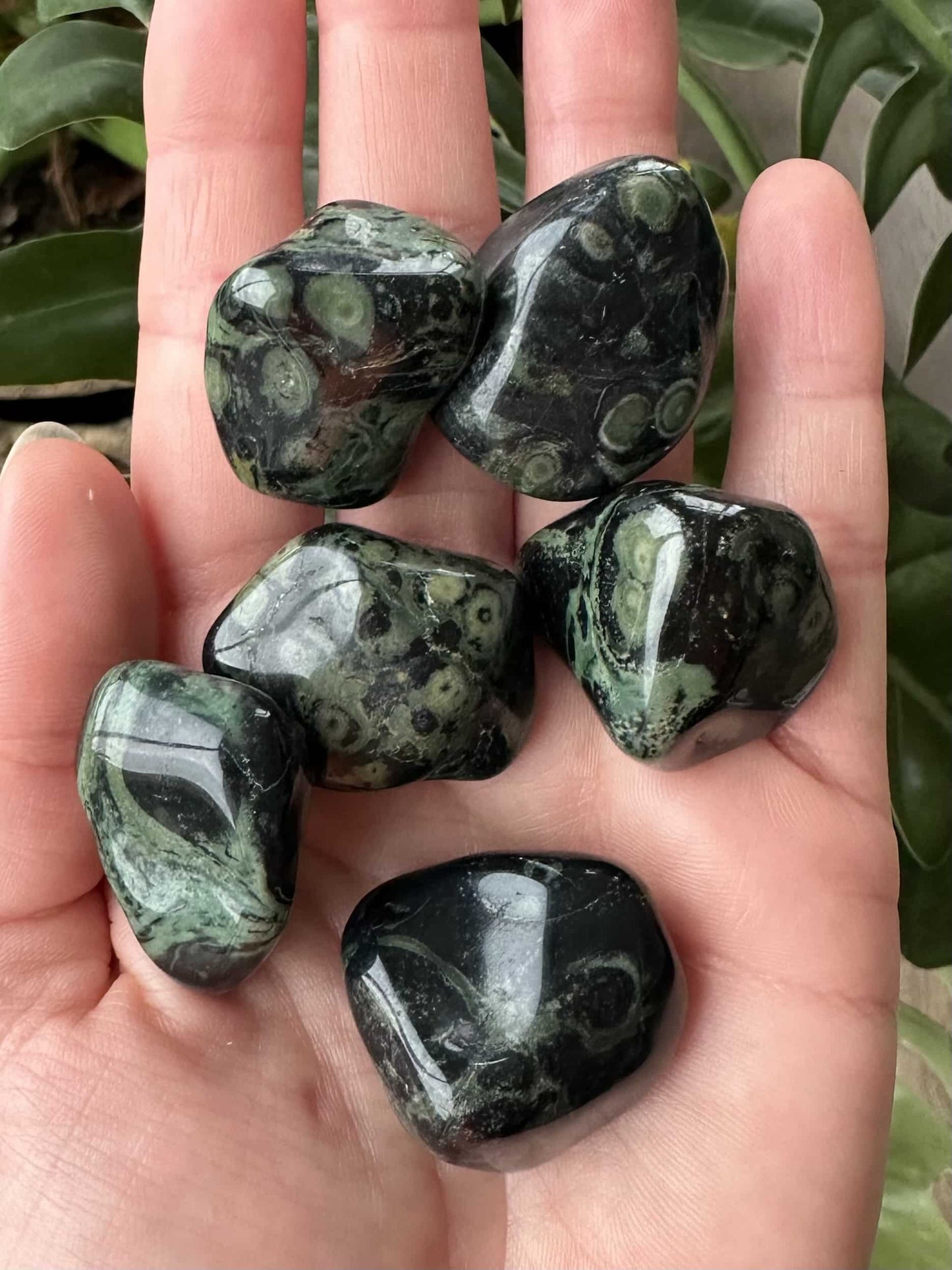 Hånd med fem Jaspis Kabamba lommesten, op mod en baggrund af grønne planter.