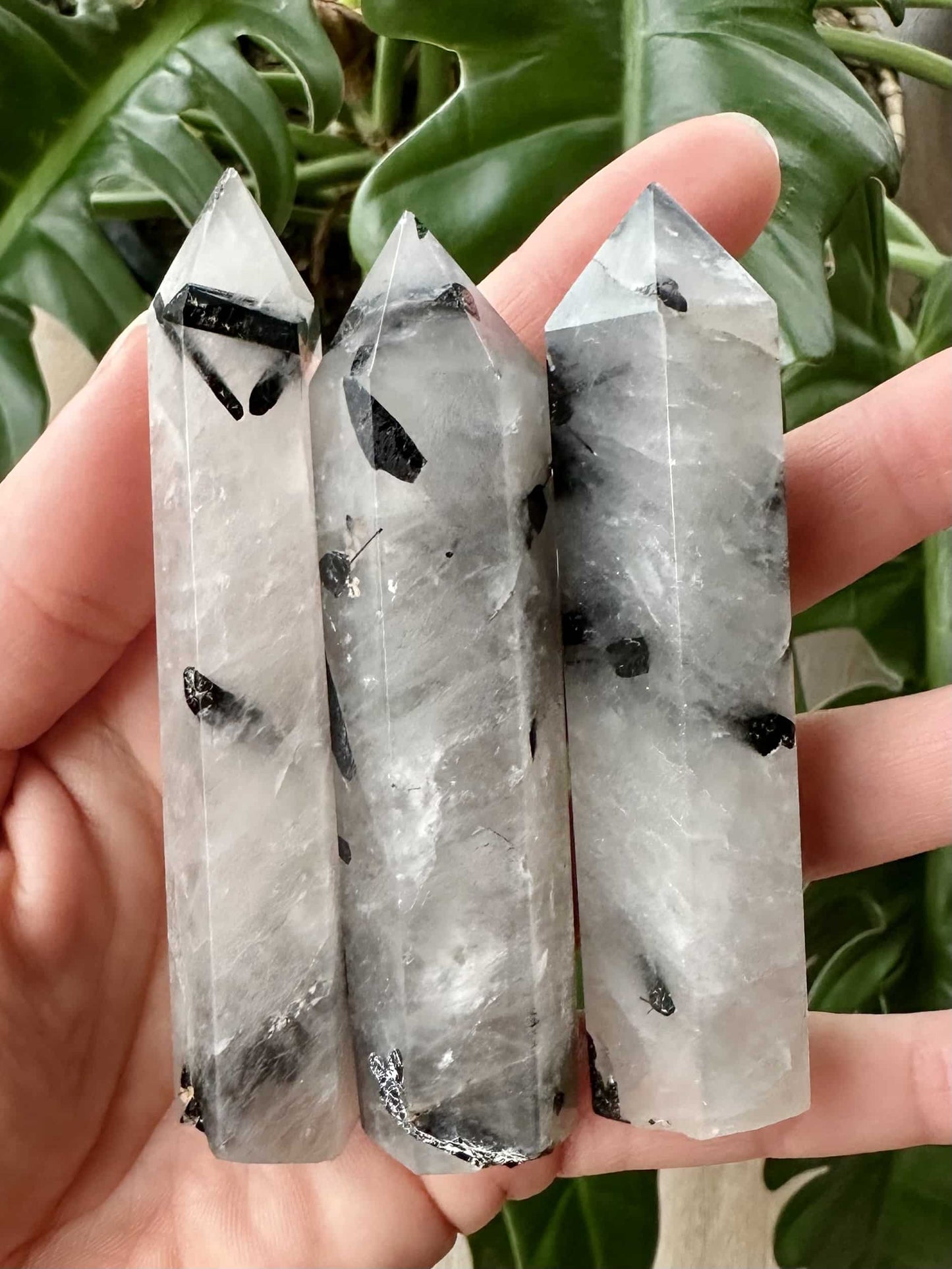 Tre cylindriske turmalinkvarts tårne holdes i en hånd foran grønne blade.