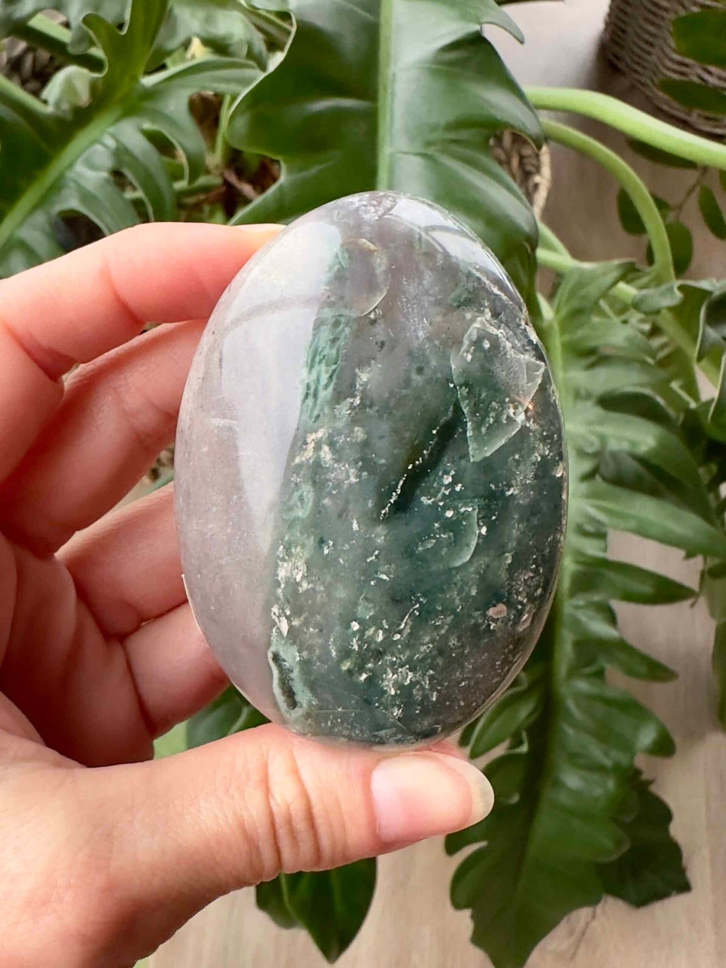 En hånd holder en Jaspis Hav Jumbo sten foran grønne planter i baggrunden.