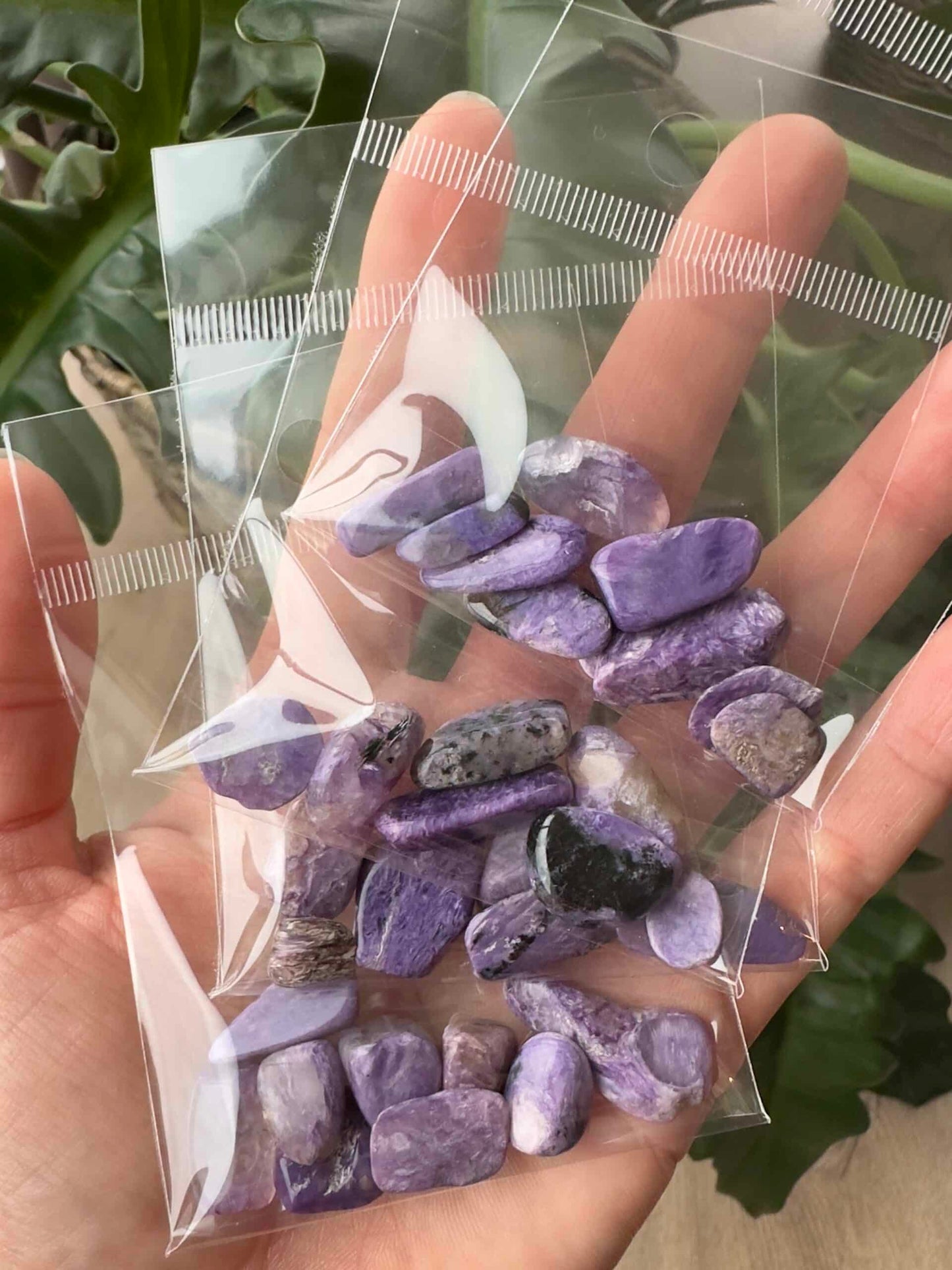 Små poser med lilla charoit-krystaller i en hånd, baggrund med grønne blade.