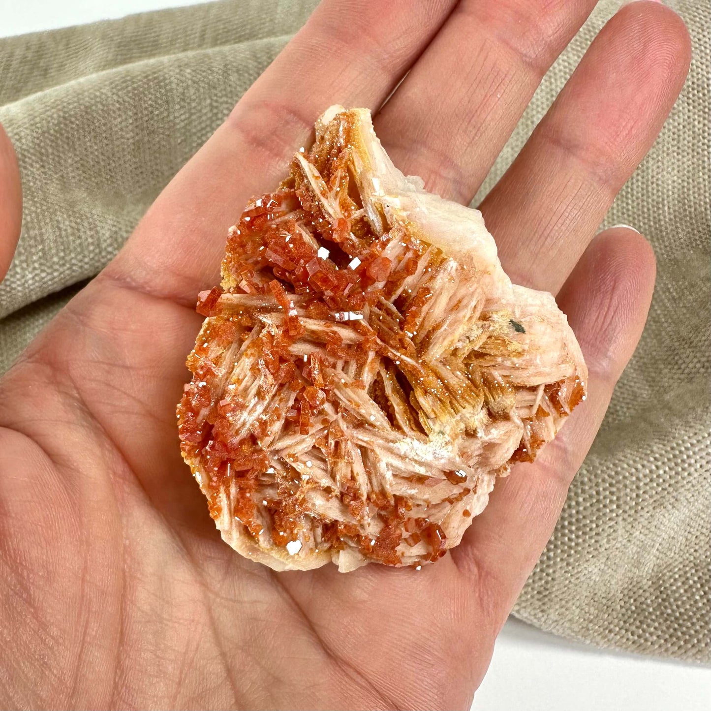 Hånd holder en klynge af røde, krystallinske mineraler på en beige baggrund.