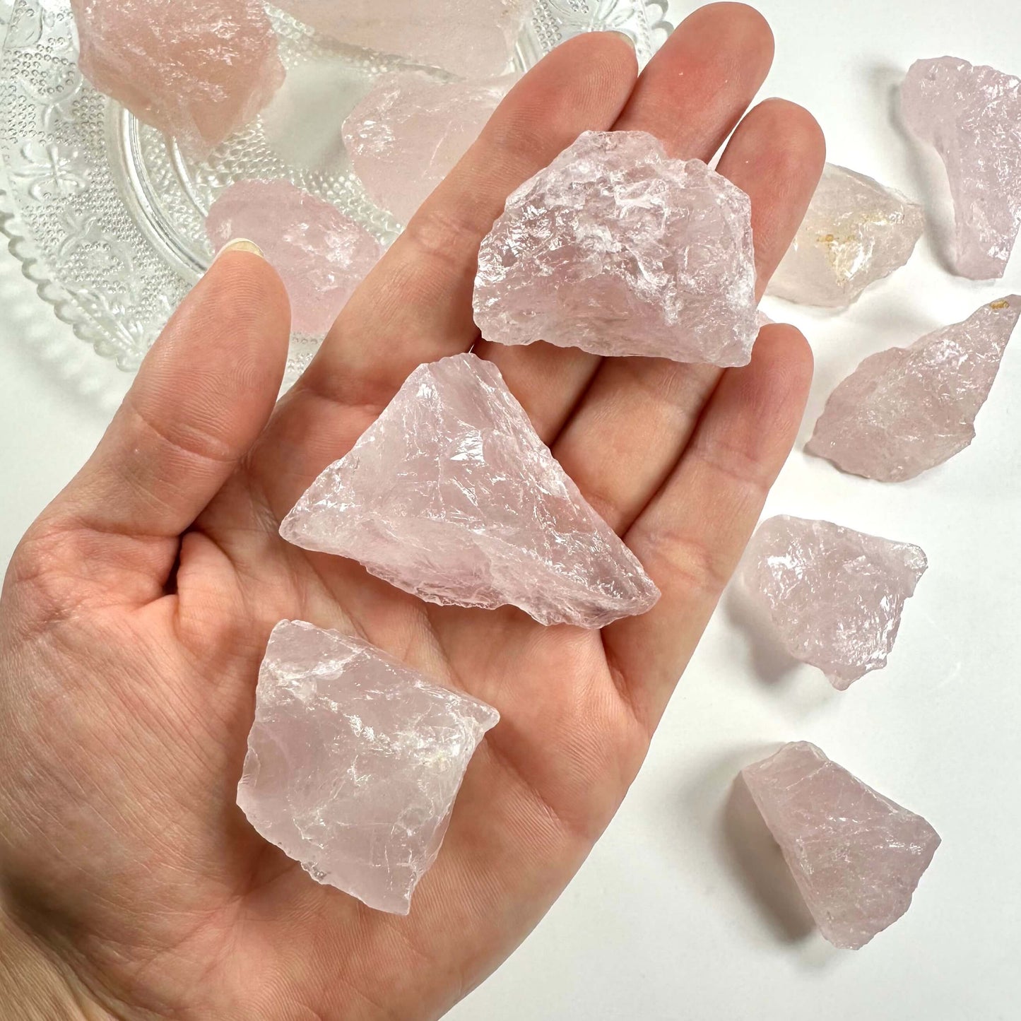 Hånd holder tre stykker rosenkvarts rå, med flere stykker på hvid baggrund.