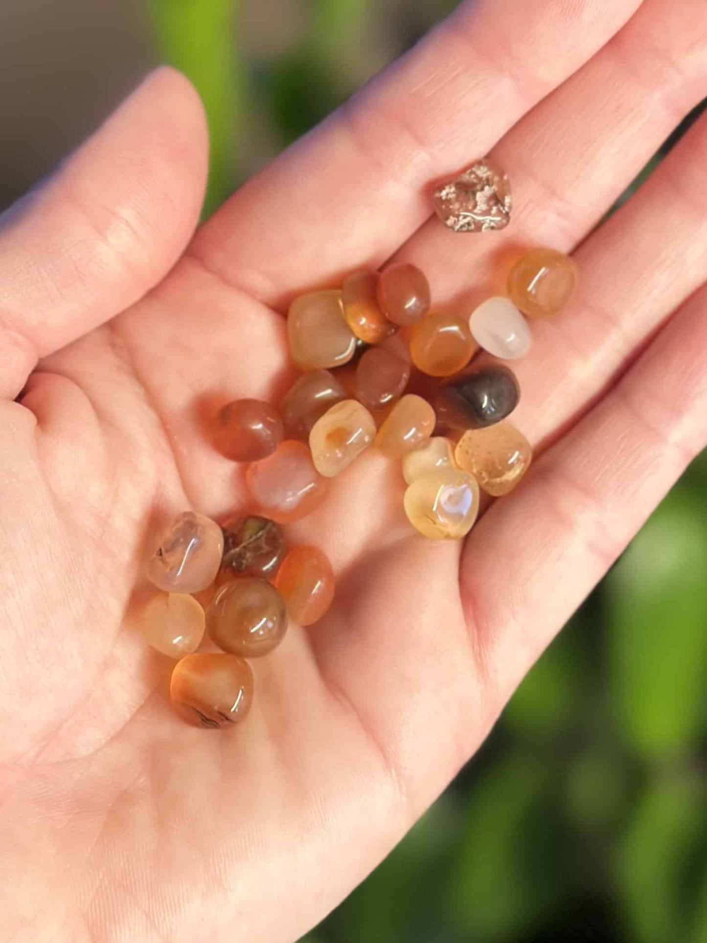 Hånd fuld af polerede karneol chips i forskellige nuancer af orange og brun.