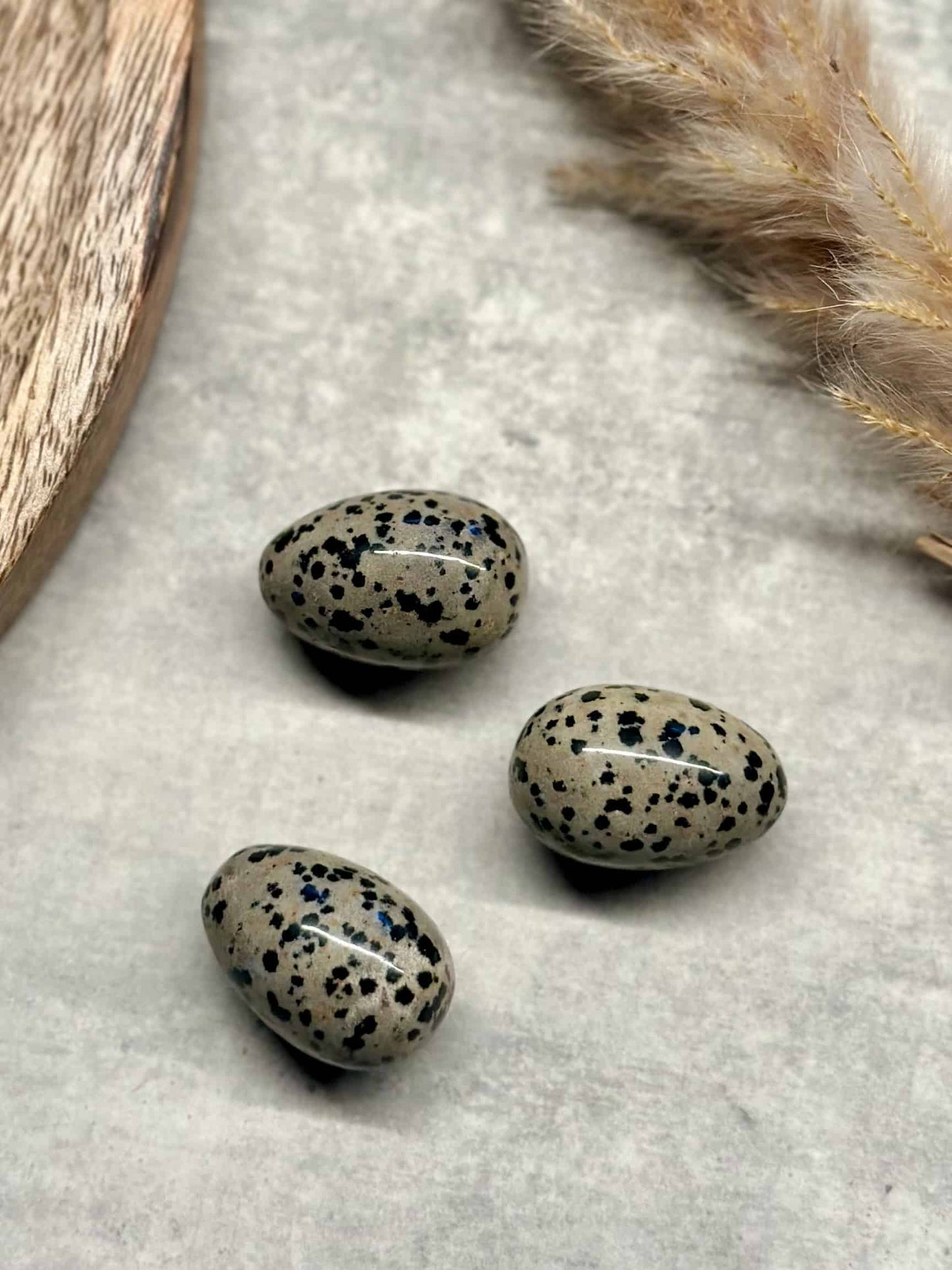 Tre Dalmatiner æg med sorte pletter på en grå overflade, ved siden af tørret græs og en træplade.