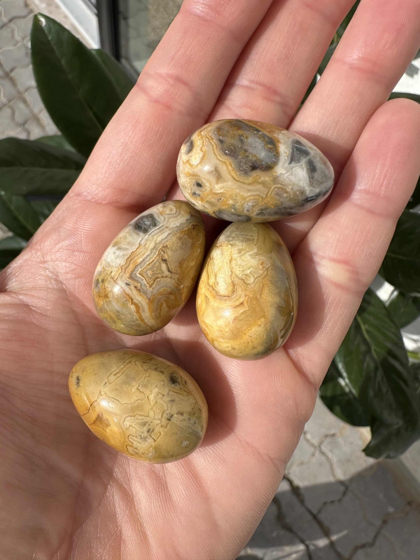 Fire Agat crazy lace æg hviler i en hånd, med synlige detaljer og mønstre i stenenes overflade.