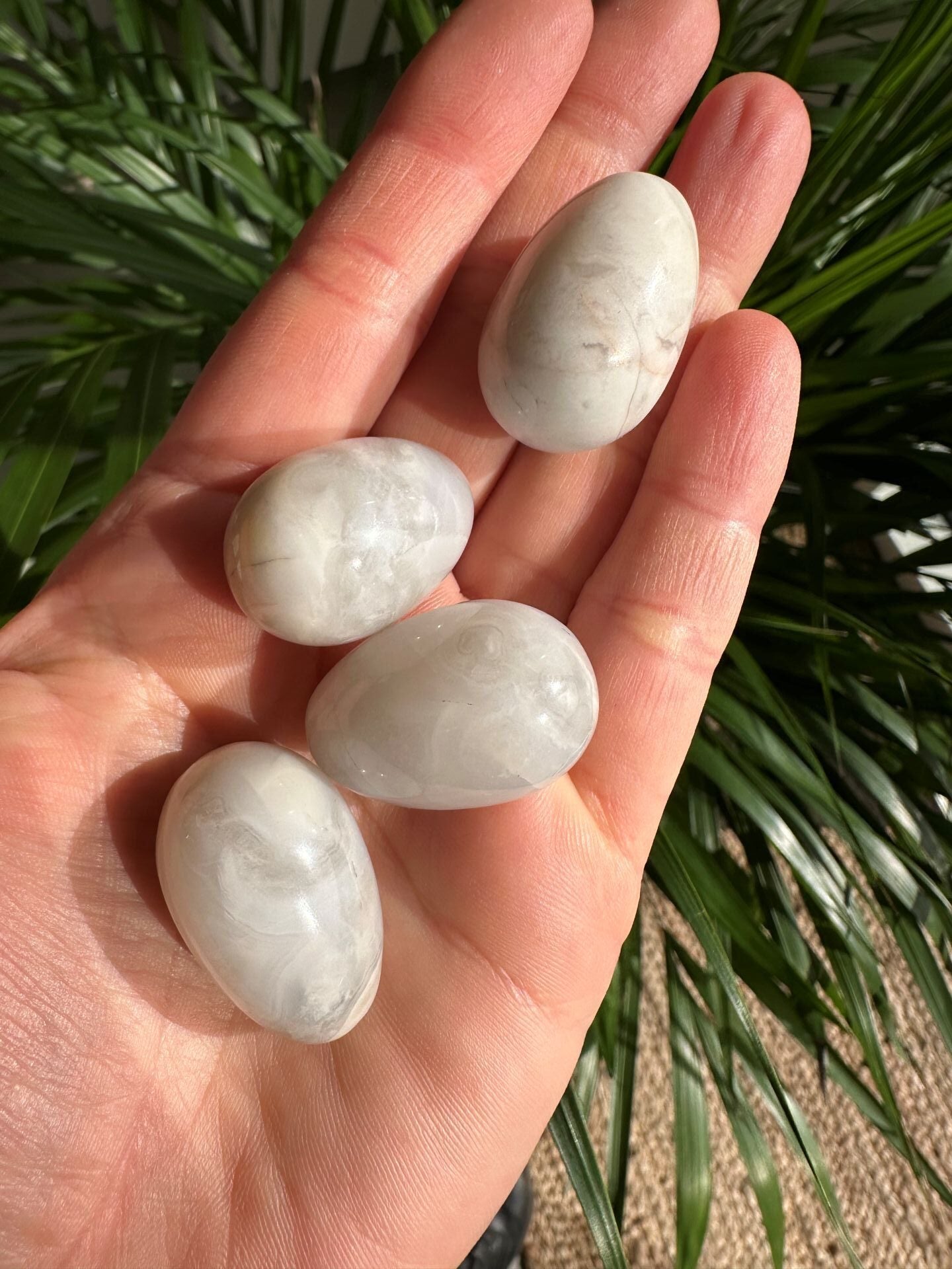 Fire Hvid agat æg holdes i en hånd, med grønne blade i baggrunden.