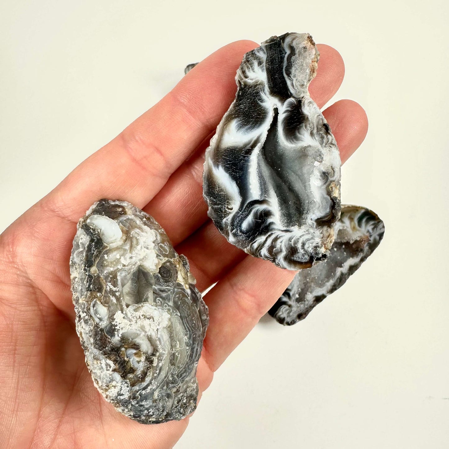 Hånd, der holder sort-hvide agat geoder med komplekse mønstre og teksturer.