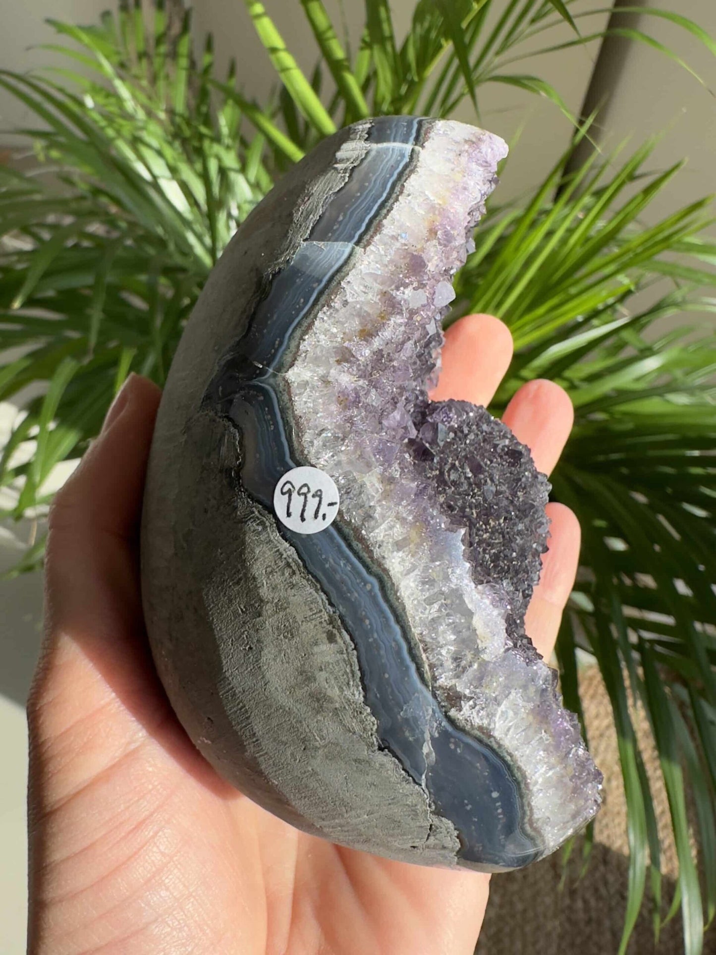 Hånd holder ametyst æg med krystallinsk indre. En plante er synlig i baggrunden. Prisskilt viser "999,-".