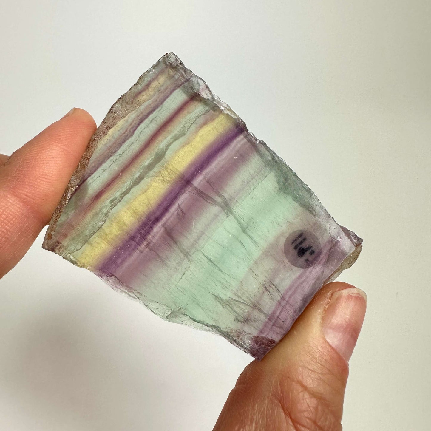 Hånd, der holder en regnbue fluorit skive med stribede farver i lilla, gul og grøn på en lys baggrund.