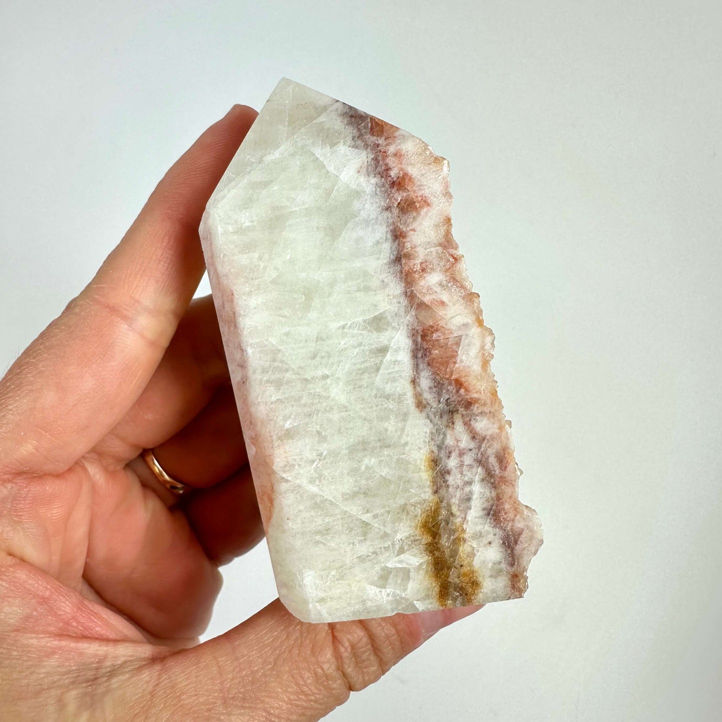 Hånd holder en poleret Calcit hundetand med synlige lag af hvid, rosa og gullig farve.