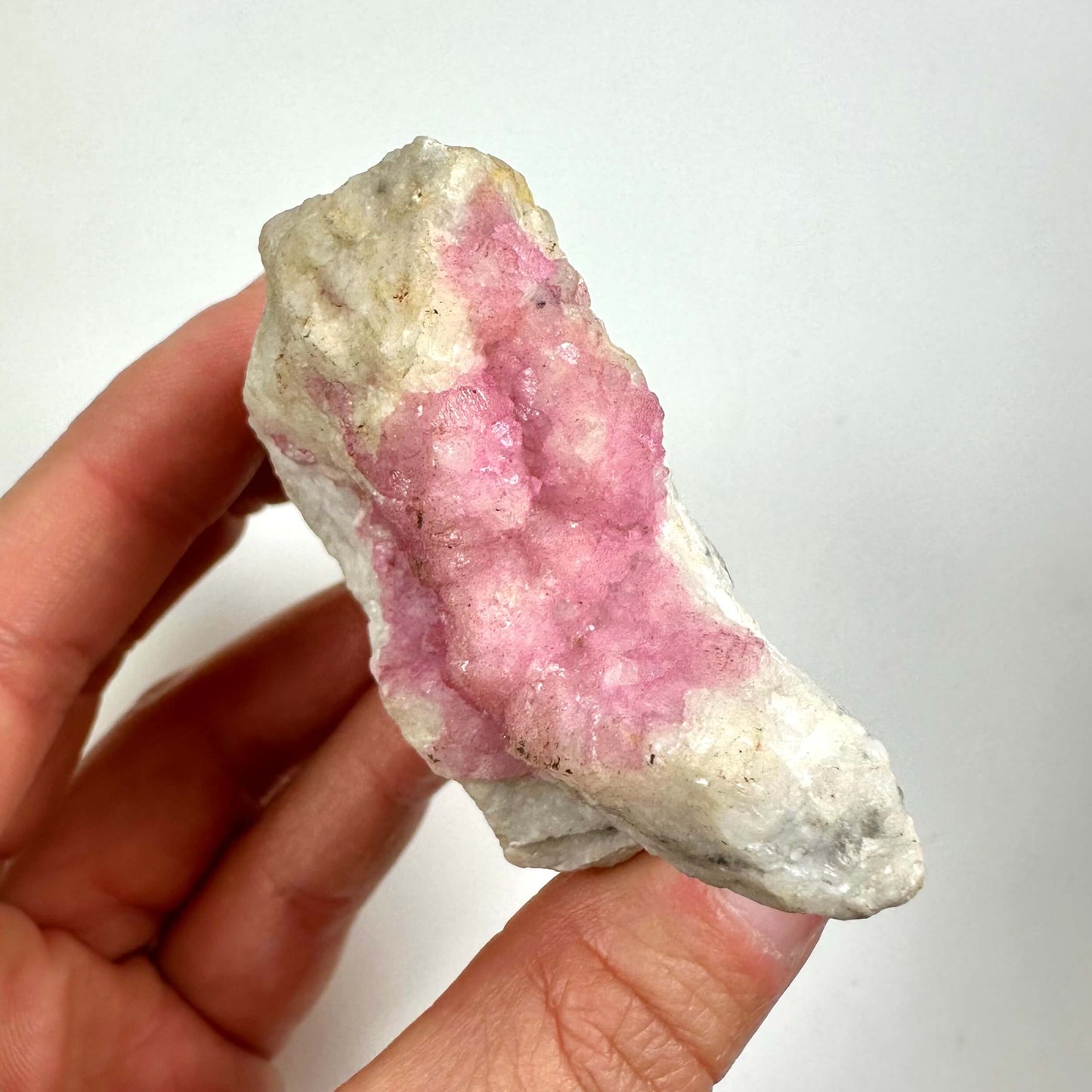En hånd holder en hvid sten med en koboltcalcit-klynge i lyserød på en neutral baggrund.
