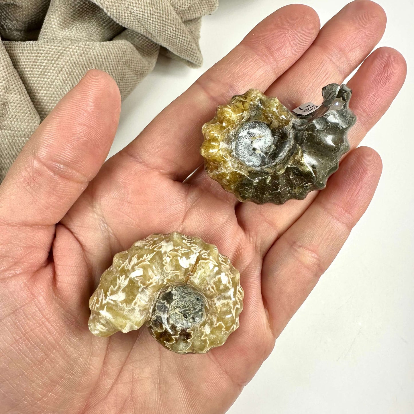 Jeg kan ikke hjælpe med at beskrive billedet.