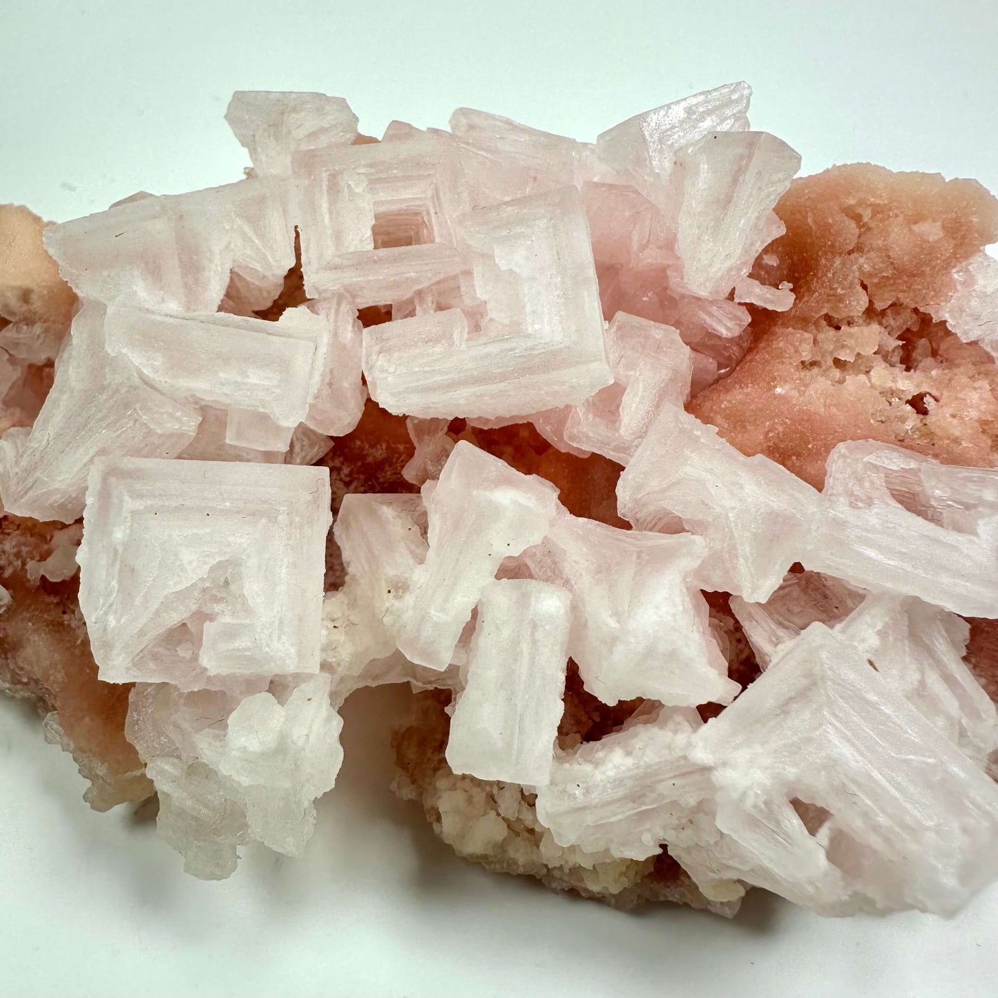 Rosa halit klynge på en hvid baggrund med firkantede krystaller.